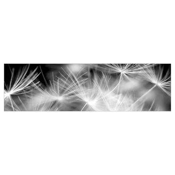 Bilderdepot24 Küchenrückwand schwarz-weiß dekor Blumen Natur Pusteblumen auf schwarzem Hintergrund, (1-tlg., Nischenrückwand - für Fliesenspiegel ohne Bohren - matt), Spritzschutz Rückwand Küche Herd - Folie selbstklebend versch. Größen