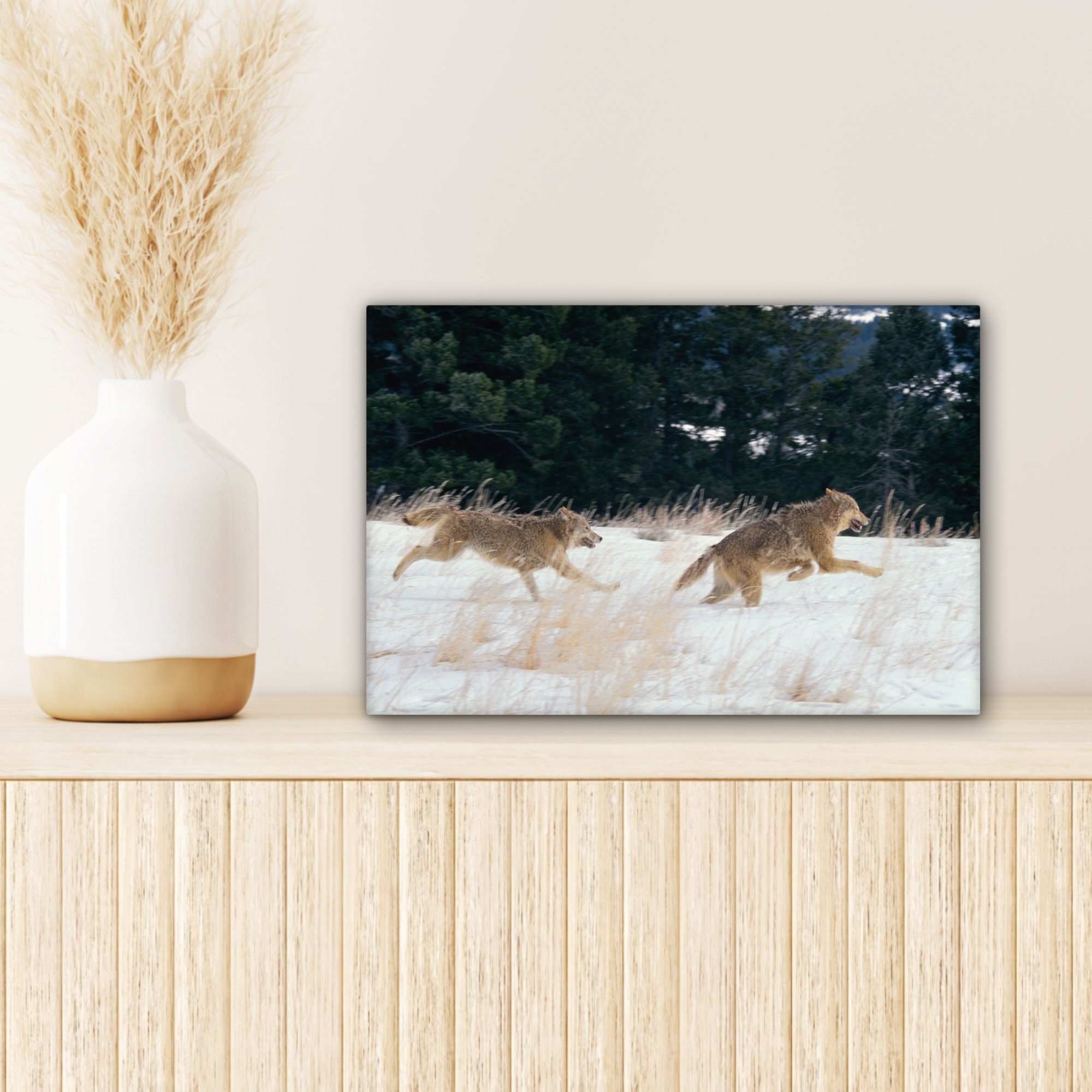 - 30x20 Leinwandbild (1 St), Aufhängefertig, Wolf Wanddeko, Leinwandbilder, cm - Baum Tiere, Wandbild OneMillionCanvasses®