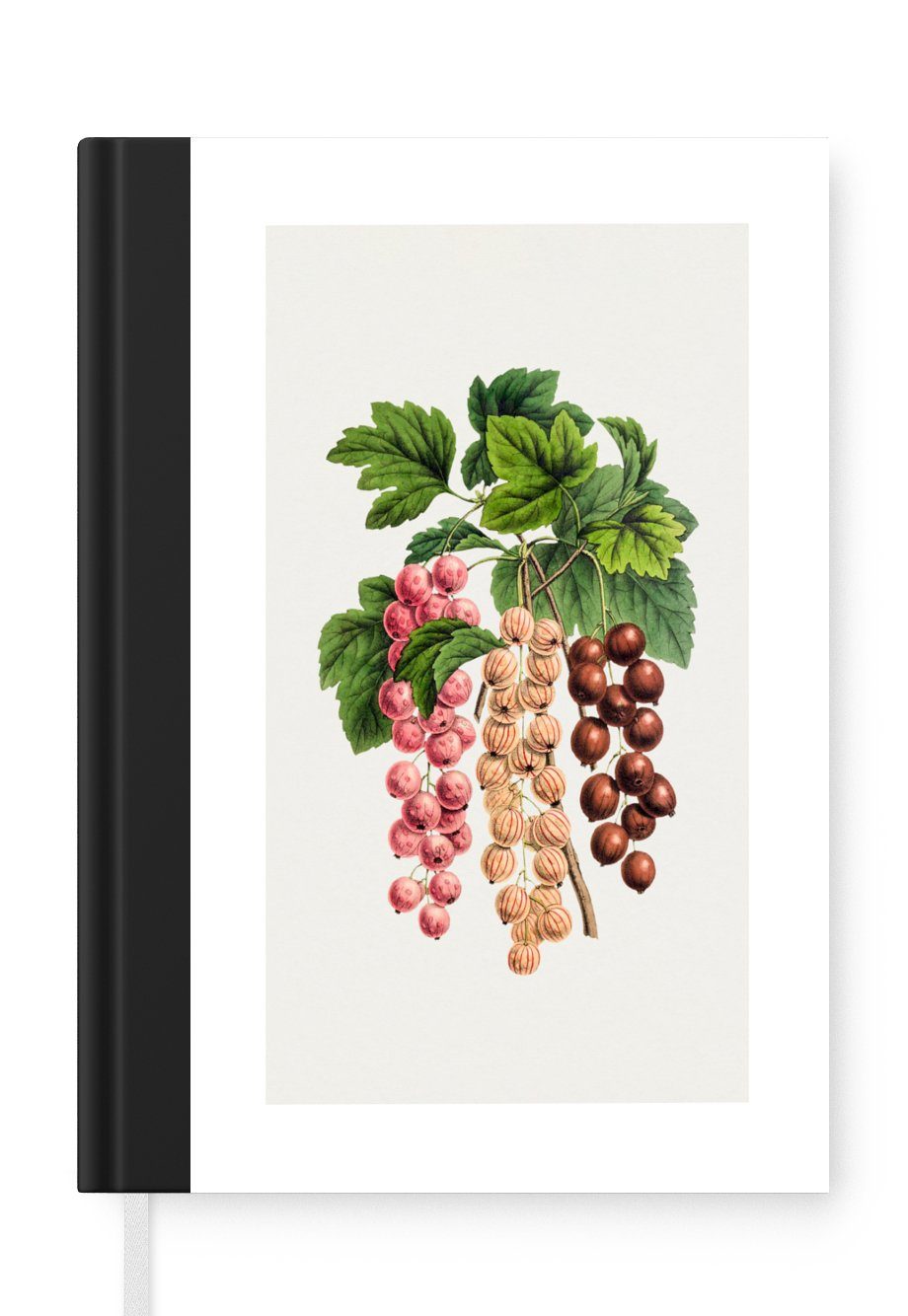 MuchoWow Notizbuch Obst - Beeren - Lebensmittel, Journal, Merkzettel, Tagebuch, Notizheft, A5, 98 Seiten, Haushaltsbuch