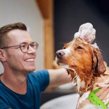 relaxdays Fellbürste Massagebürste Hund & Katze 3er Set