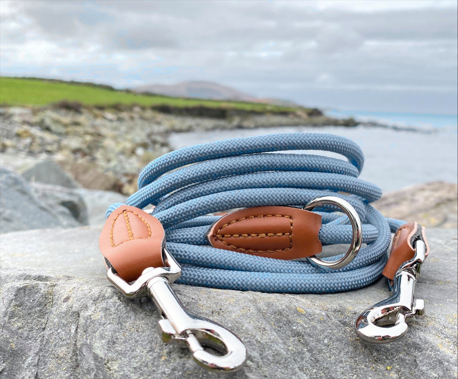 Leisegrün Hundeleine Hundeleine kleine Hunde, 4-fach verstellbar mit 2 Karabiner, 3 m, Nylon