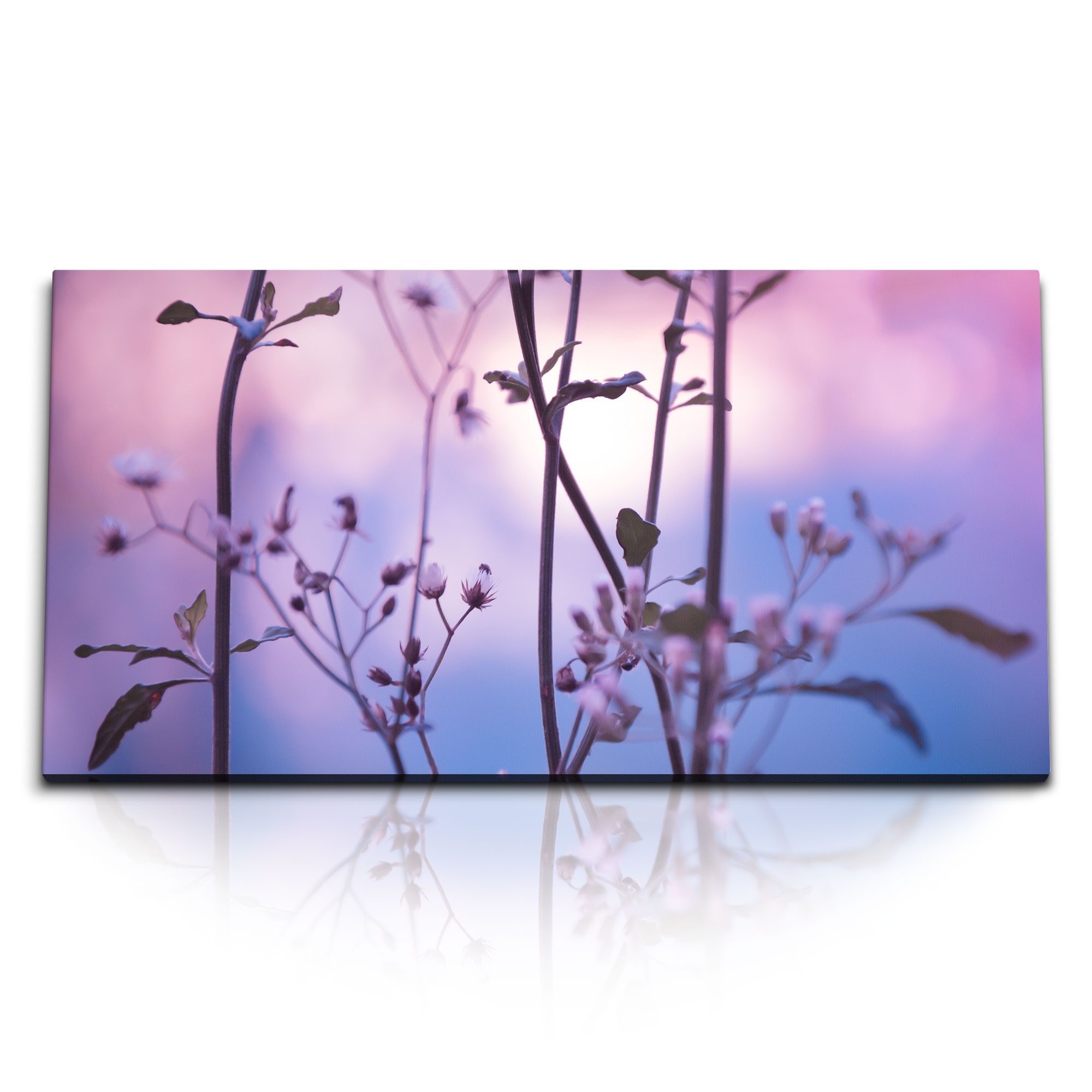 Leinwandbild Kunstdruck Bilder 120x60cm Frühling Pflanzenblüte Abenddämmerung Natur