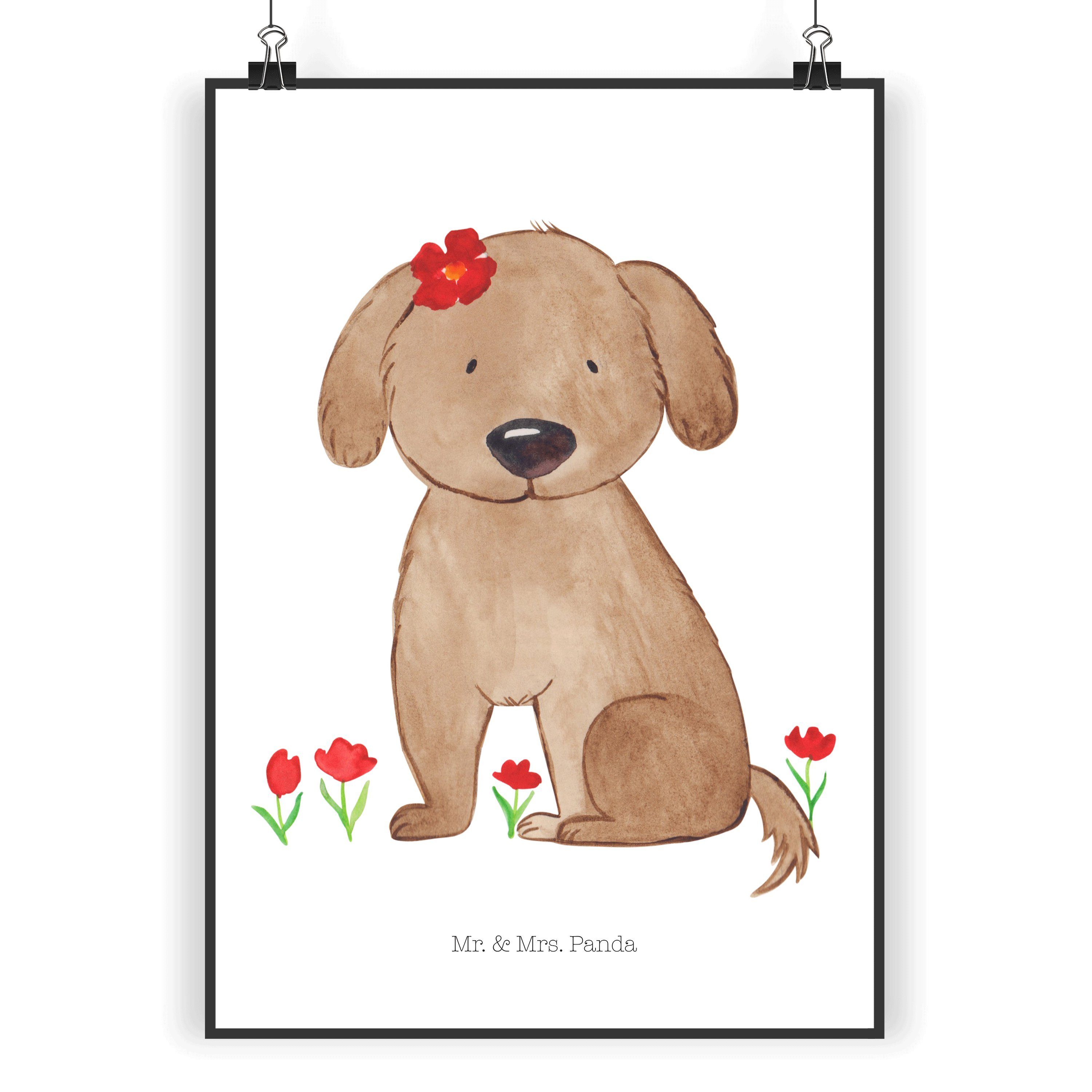Poster DIN A3 Hund Hundedame - Weiß - Geschenk, Wandposter, Hundebesitzer, F