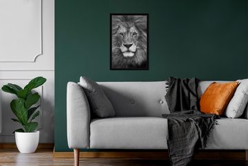 MuchoWow Poster Tierprofil Persischer Löwe in schwarz und weiß, (1 St), Gerahmtes Poster, Wanddeko, Bilder, Wandposter, Schwarzem Bilderrahmen