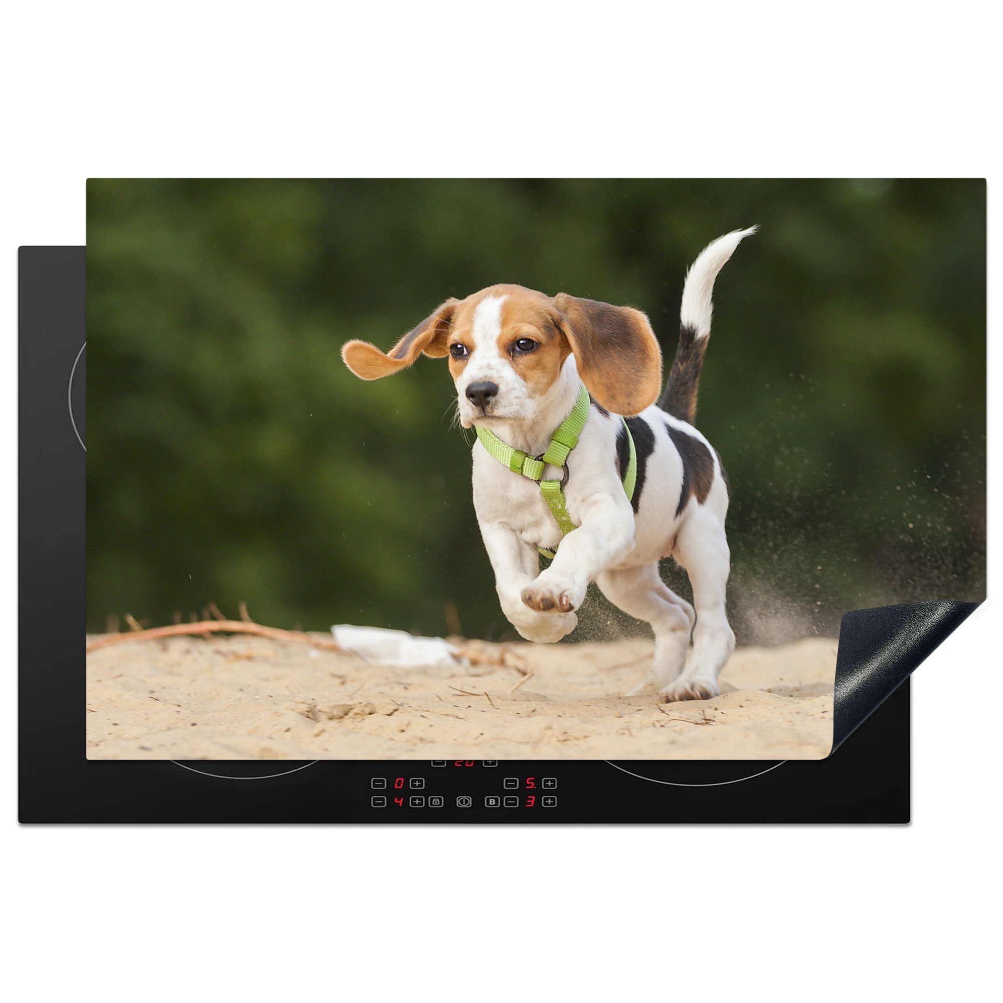 MuchoWow Herdblende-/Abdeckplatte Beagle-Welpe läuft auf 2 Beinen, Vinyl, (1 tlg), 81x52 cm, Induktionskochfeld Schutz für die küche, Ceranfeldabdeckung