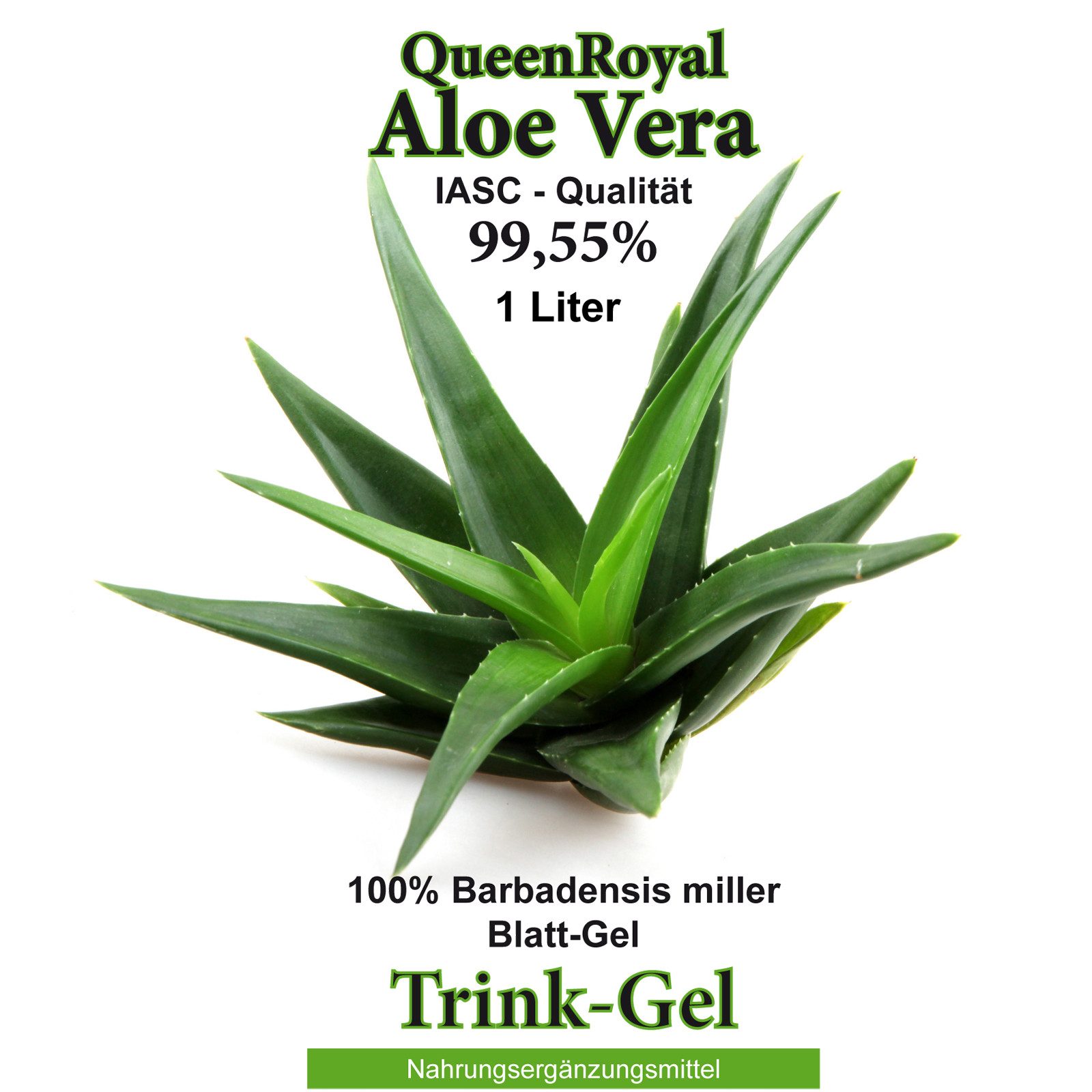 QueenRoyal Aloe Vera 99.55 % Natur pur Barbadensis Miller Getränk Blattgel Trink Gel, 1000 ml, Art. 30035 W