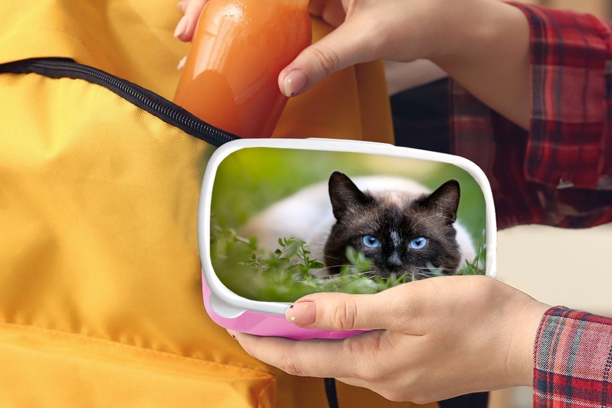 Katze Mädchen, - - Kunststoff, Kunststoff für MuchoWow Porträt, Brotdose Lunchbox Snackbox, Gras (2-tlg), Kinder, Brotbox Erwachsene, rosa