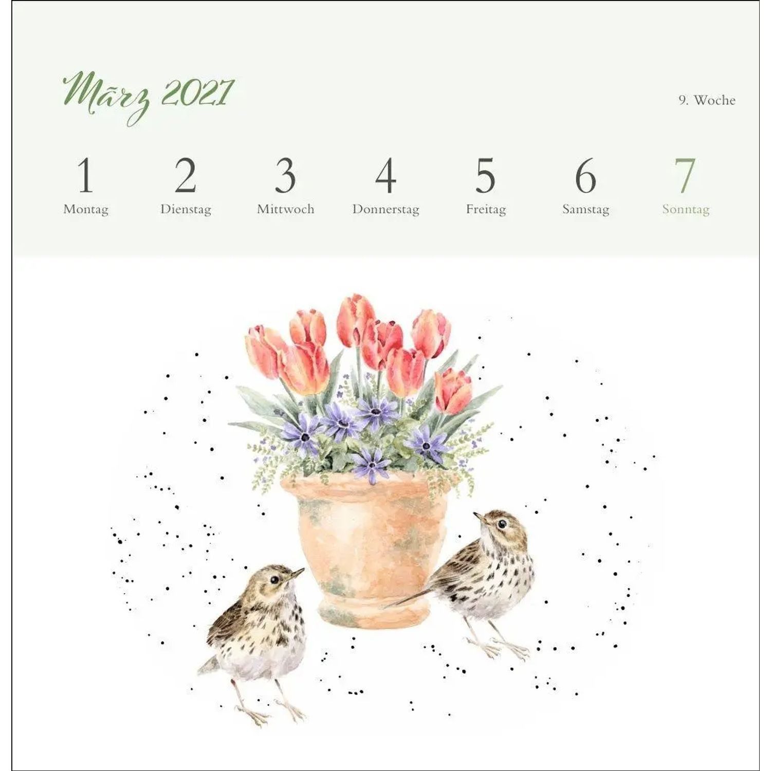HEYE Kunstkalender Hannah Dale: Happy Animals Premium-Postkartenkalender 2027 – Bild 4 von 5