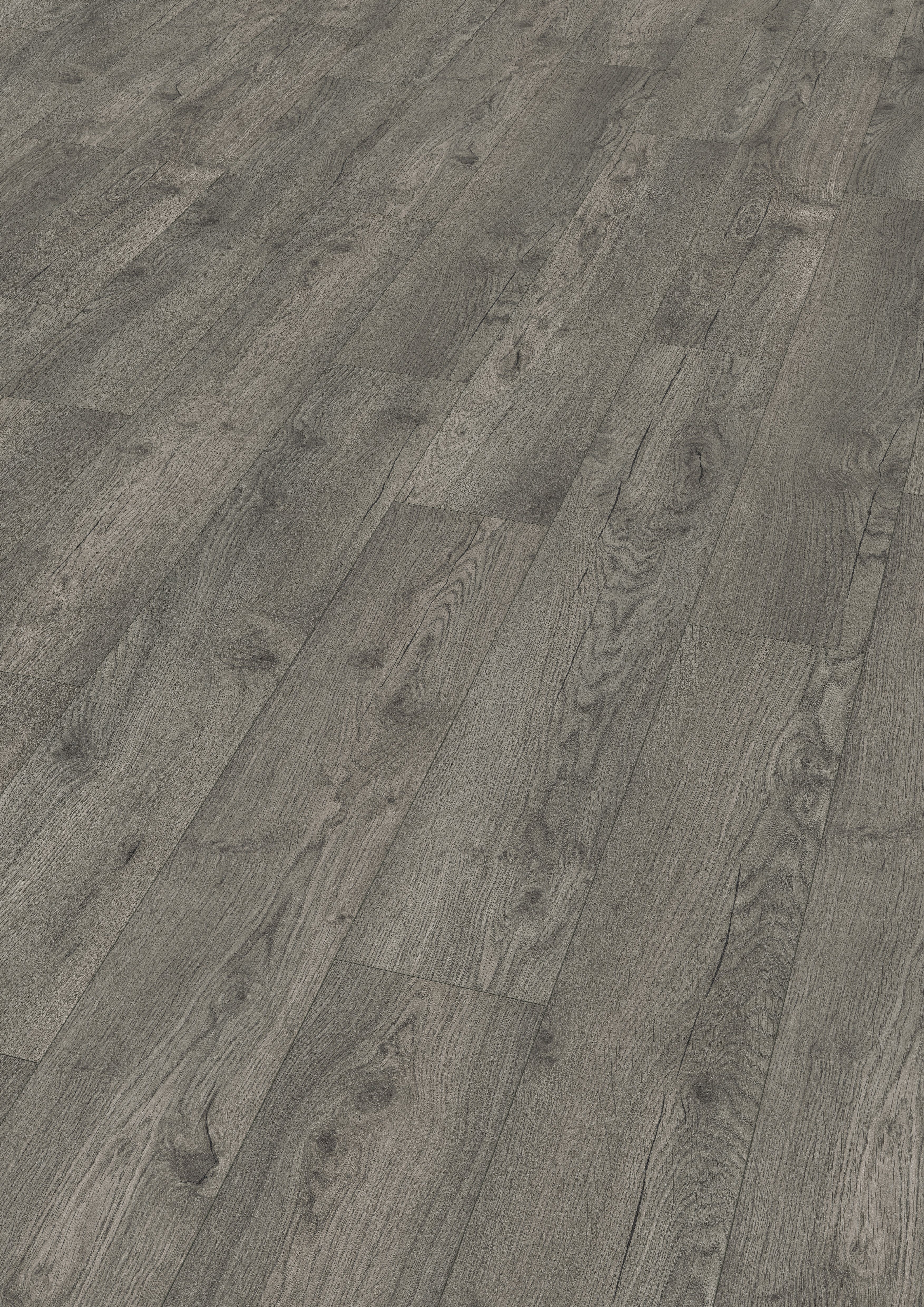 EGGER Laminat EGGER Basic Laminatboden EBL042 günstig online kaufen
