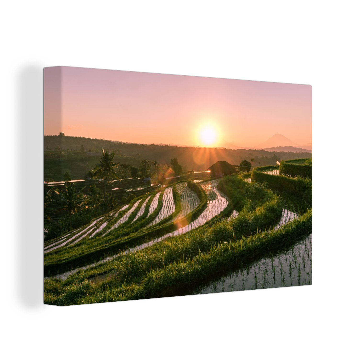 OneMillionCanvasses® Leinwandbild Reisfelder in Indonesien bei Sonnenuntergang, (1 St), Wandbild Leinwandbilder, Aufhängefertig, Wanddeko, 30x20 cm