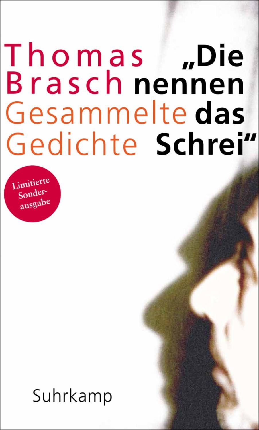 »Die nennen das Schrei« / Thomas Brasch