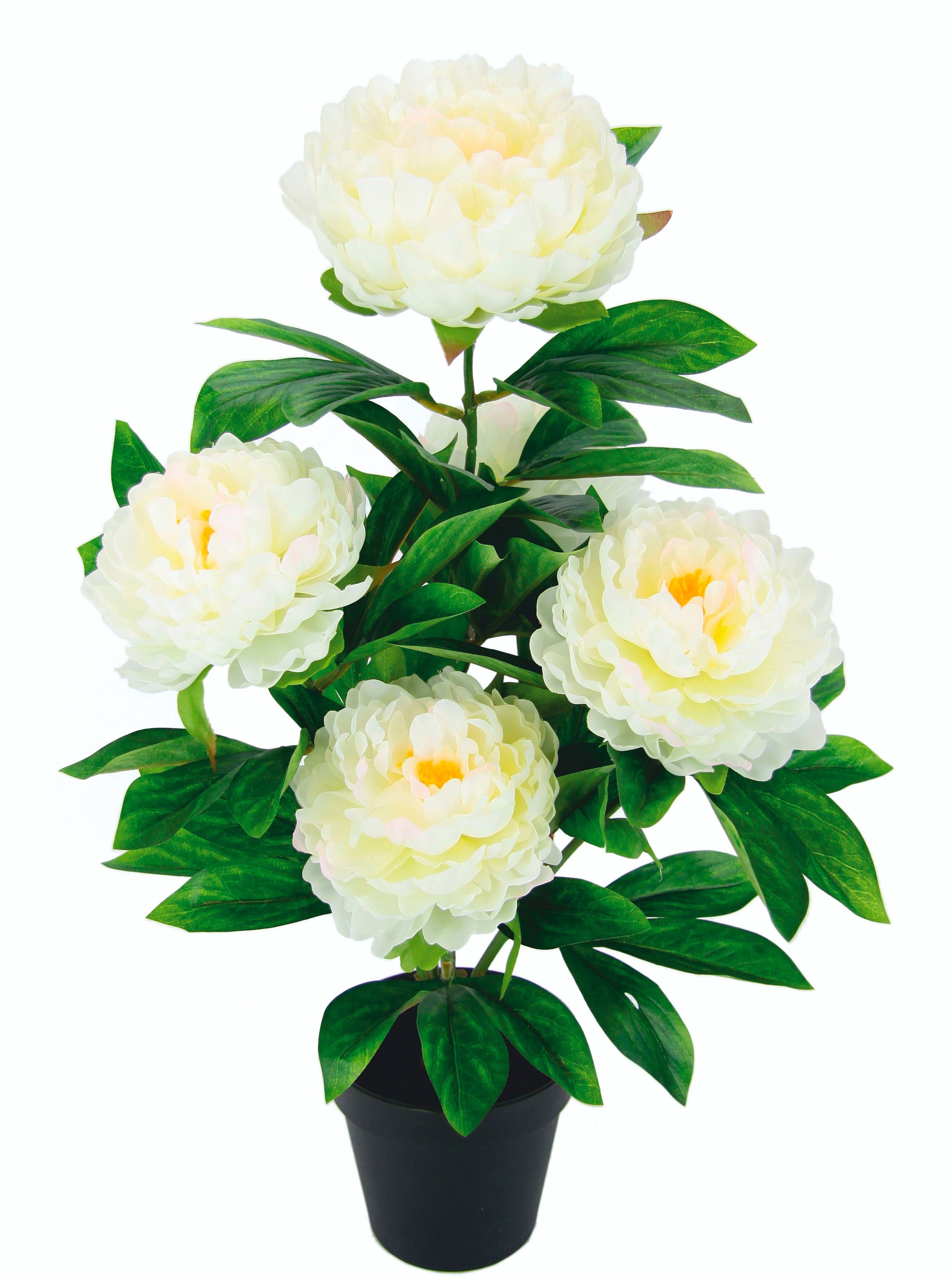 Kunstblume Päonie, I.GE.A., Höhe 54 cm, günstig online kaufen