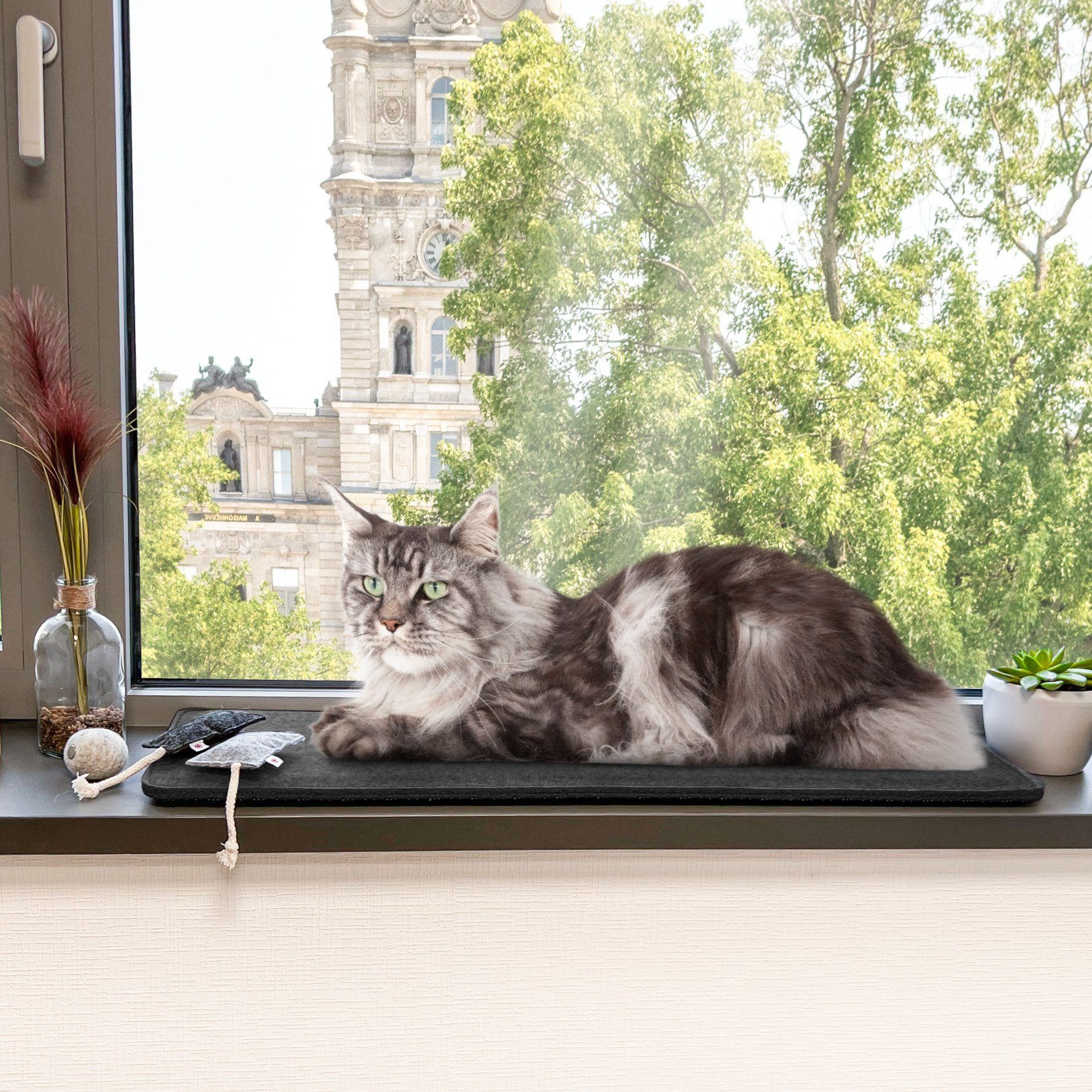 Canadian Cat Company Tierkissen Katzen Fensterliege Filzmatte, Größe S, dunkelgrau, 60x26cm, gepolsterte Fensterbankauflage