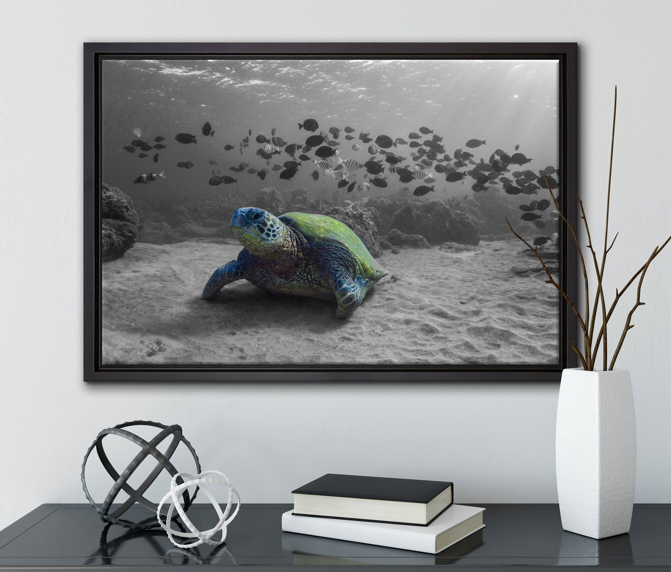 (1 inkl. Ozean, bespannt, in im St), Wanddekoration Zackenaufhänger Leinwandbild gefasst, Pixxprint Schattenfugen-Bilderrahmen einem Schildkröte Leinwandbild fertig