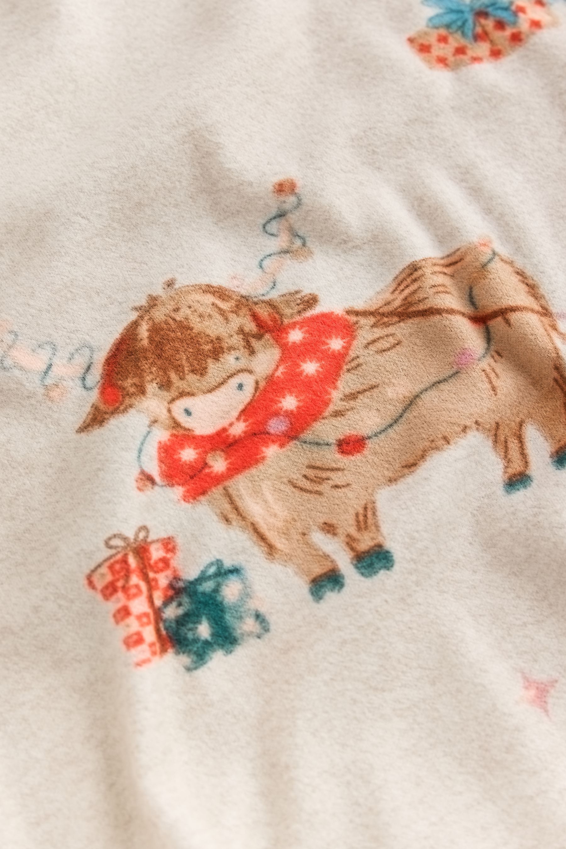 Next Pyjama Weihnachtspyjamas, Familienkollektion (2 tlg)