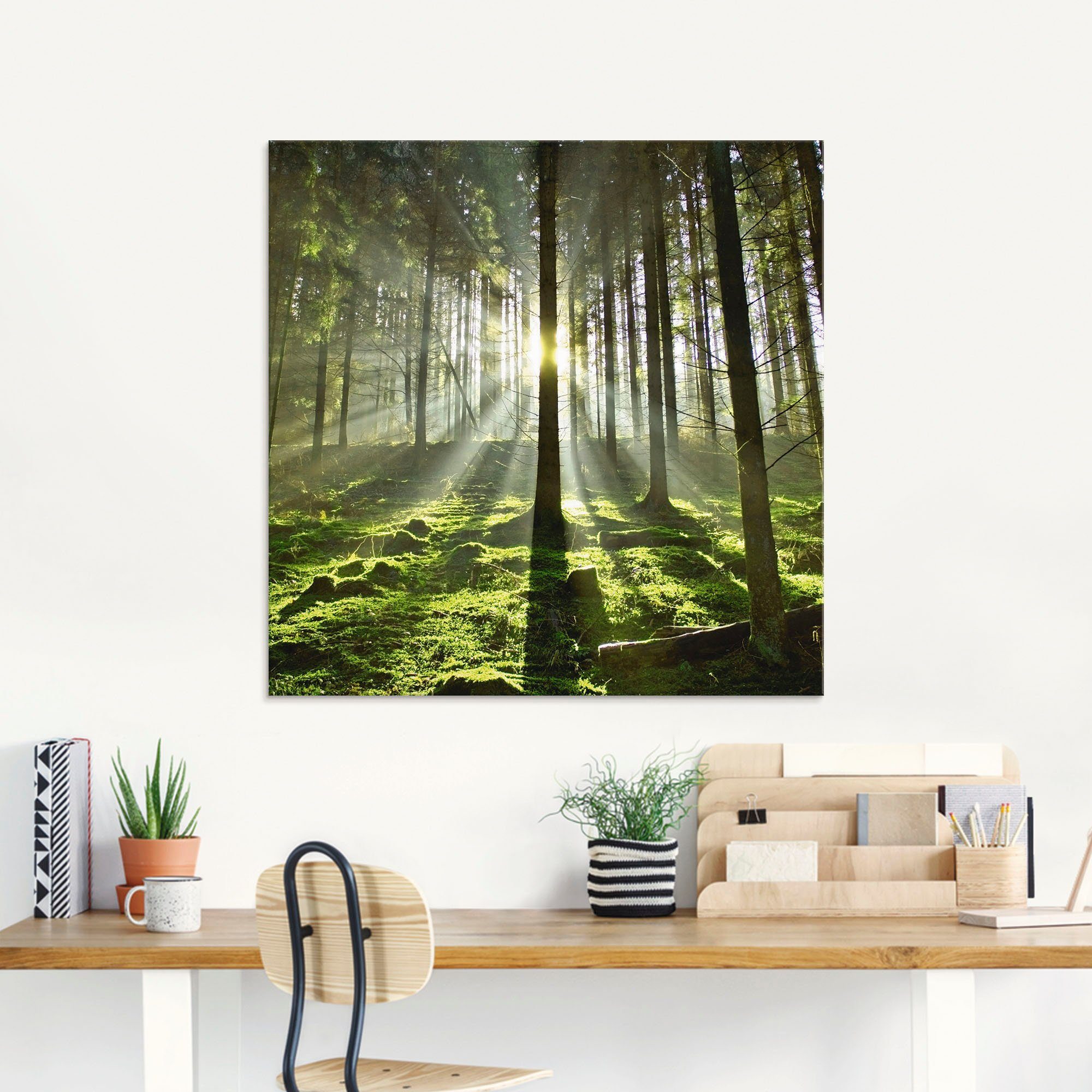 Artland Glasbild Wald im Gegenlicht, Wald (1 St), in verschiedenen Größen – Bild 3 von 5