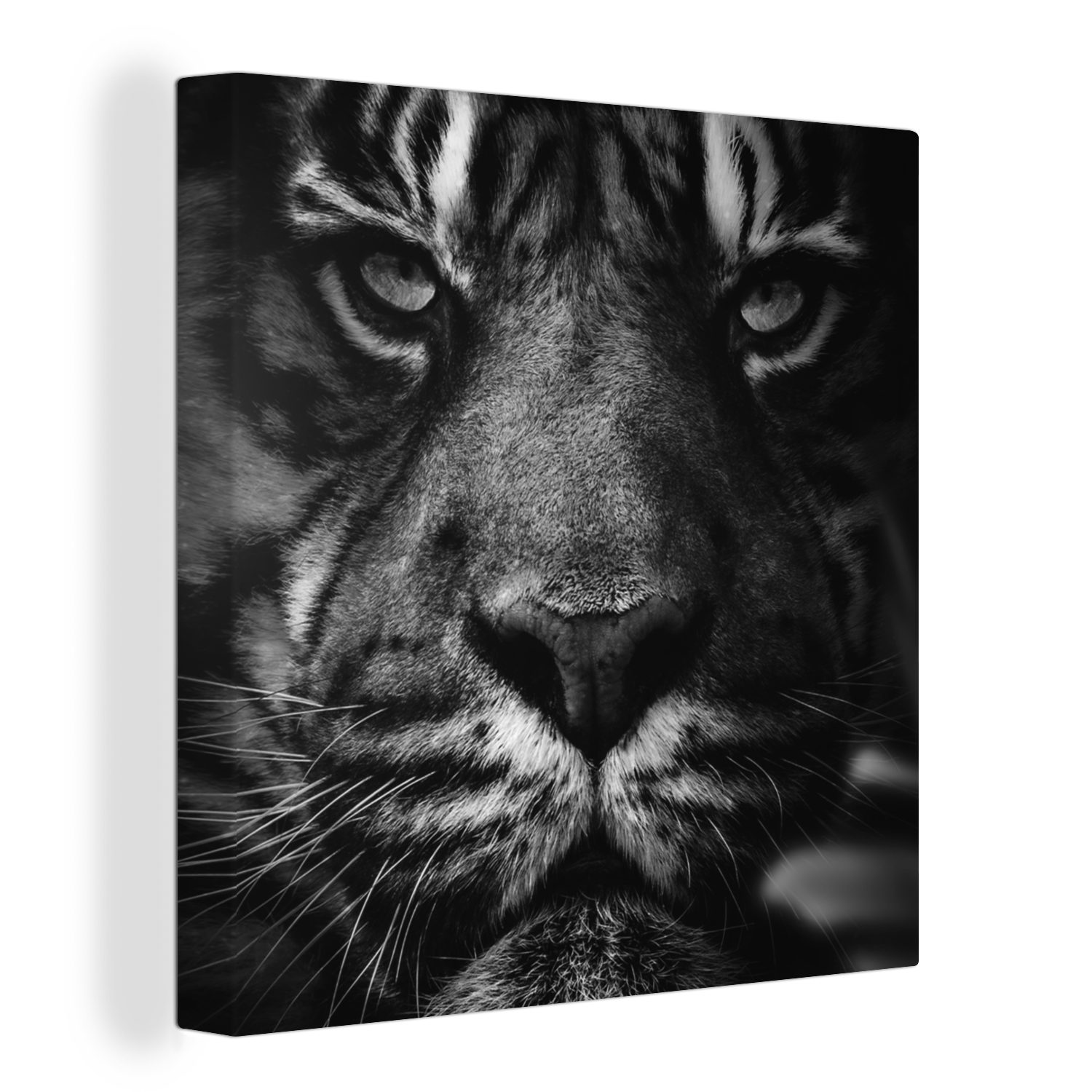OneMillionCanvasses® Leinwandbild Tiere - Tiger - Wild - Schwarz - Weiß, (1 St), Leinwand Bilder für Wohnzimmer Schlafzimmer