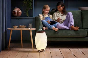 kooduu LED Stehlampe Synergy 35, Bluetooth-Lautsprecher, LED fest integriert, Warmweiß, Hygge-Design, Bluetooth Lautsprecher, Sektkühler, TWS Stereo Sound