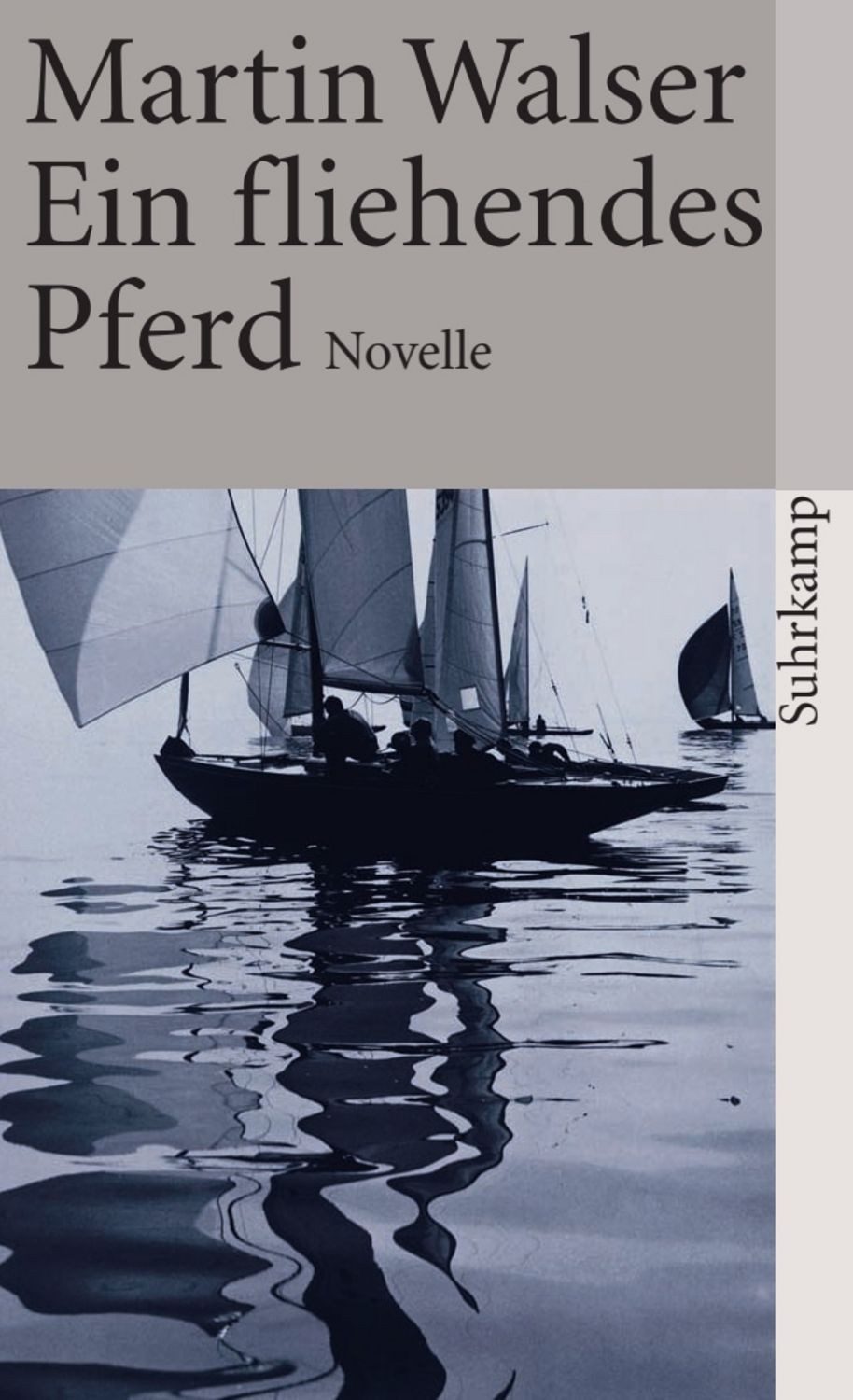 Ein fliehendes Pferd / Martin Walser