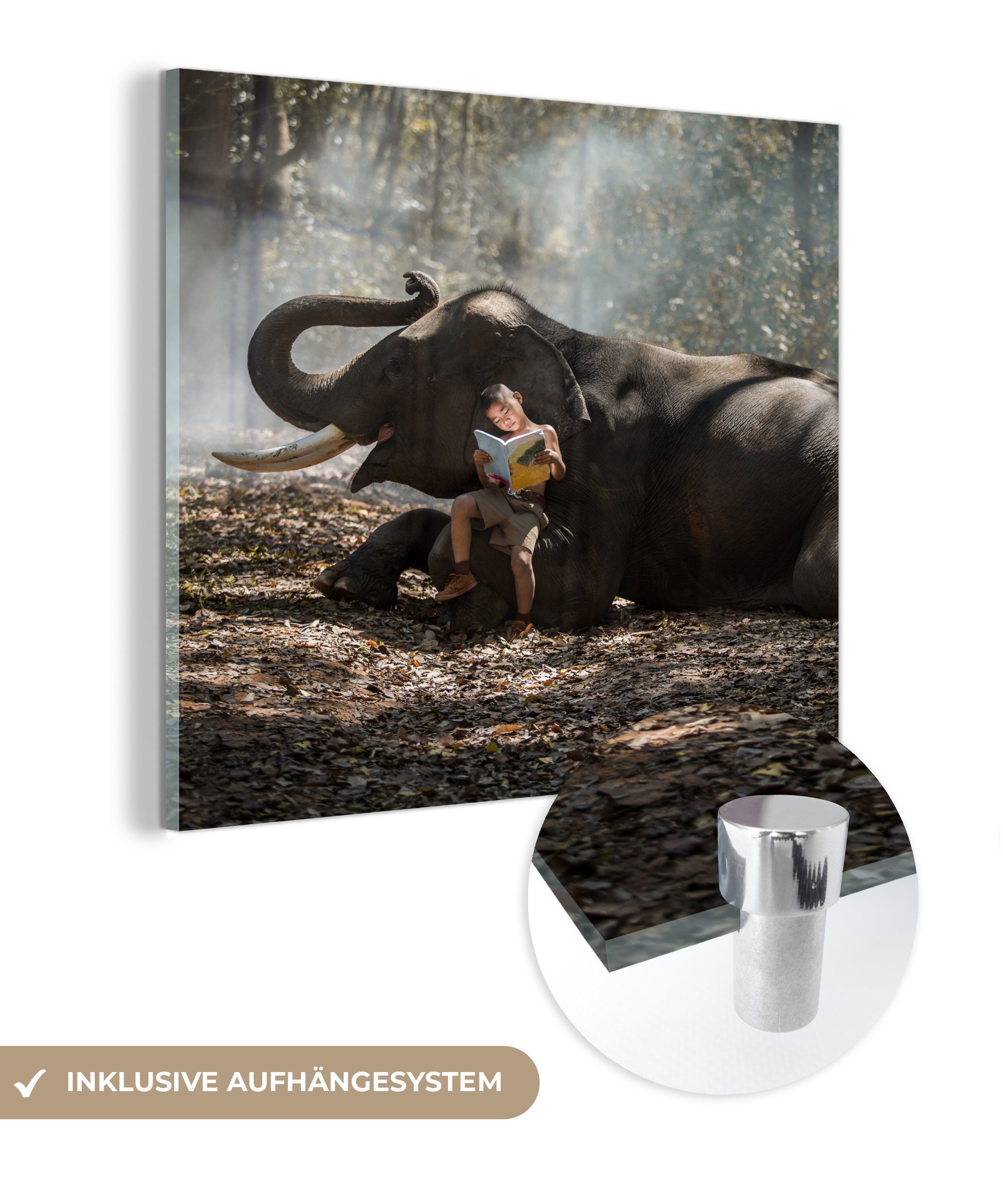 MuchoWow Acrylglasbild Elefant - Junge - Buch - Wald - Tiere - Natur, (1 St), Glasbilder - Bilder auf Glas Wandbild - Foto auf Glas - Wanddekoration