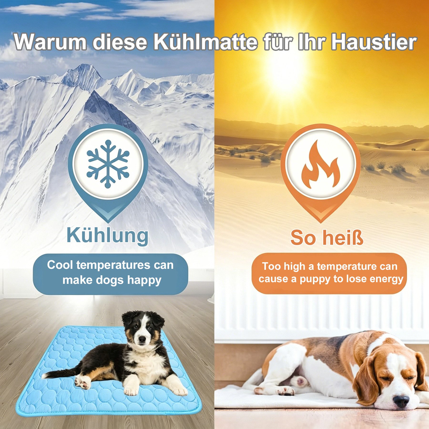 Mutig Hundematte Haustier Kühlmatte, Selbstkühlende Hundematte, Kühldecke Katzen, Sicheres Kühlkissen, Waschbare Hundekältematte mit kühlendem Gewebe, für Sommer Zuhause Unterwegs oder im Auto, 62x50cm