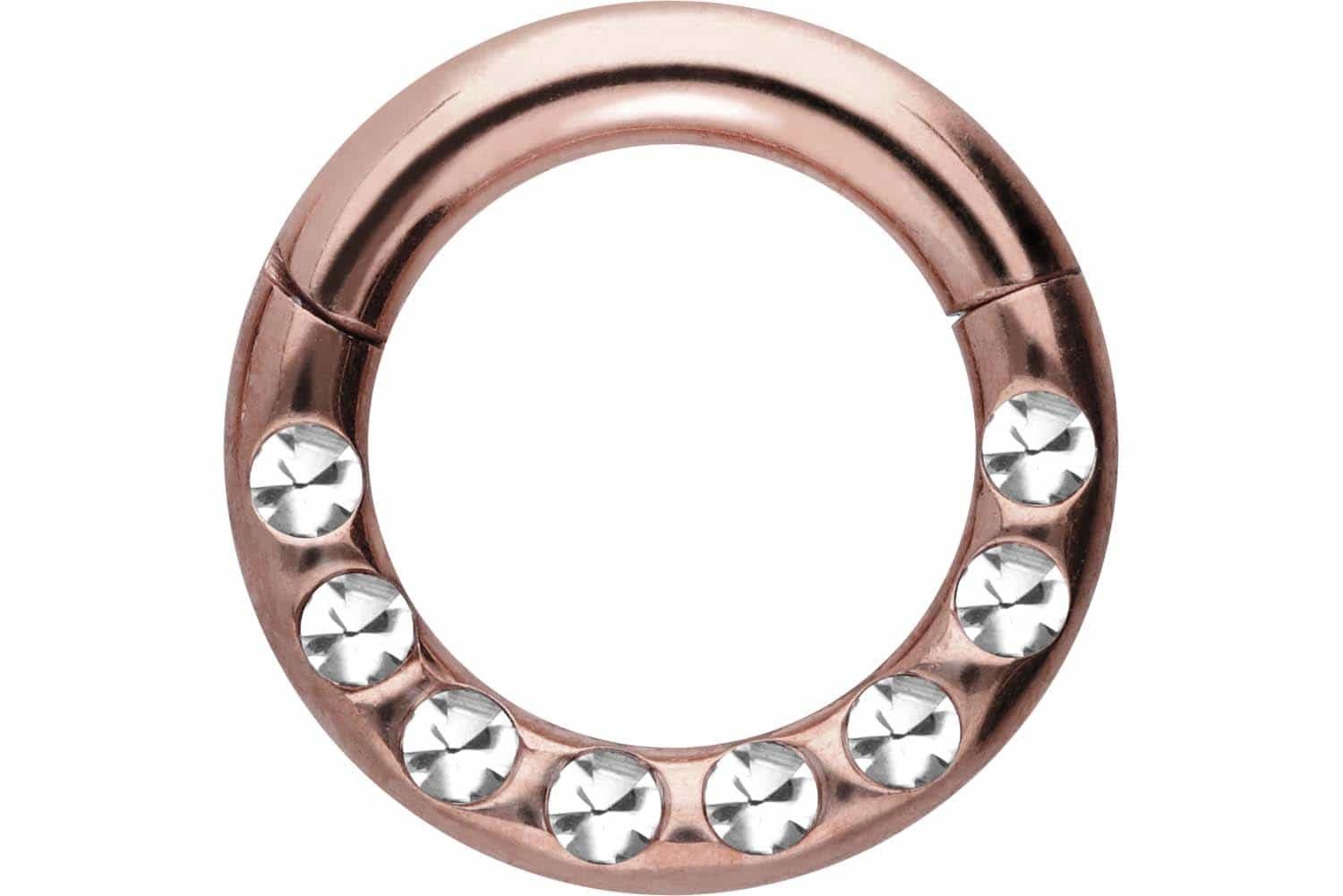 Nasenpiercing Chirurgenstahl Segmentring Clicker KRISTALLE + EPOXY Ohrpiercing
