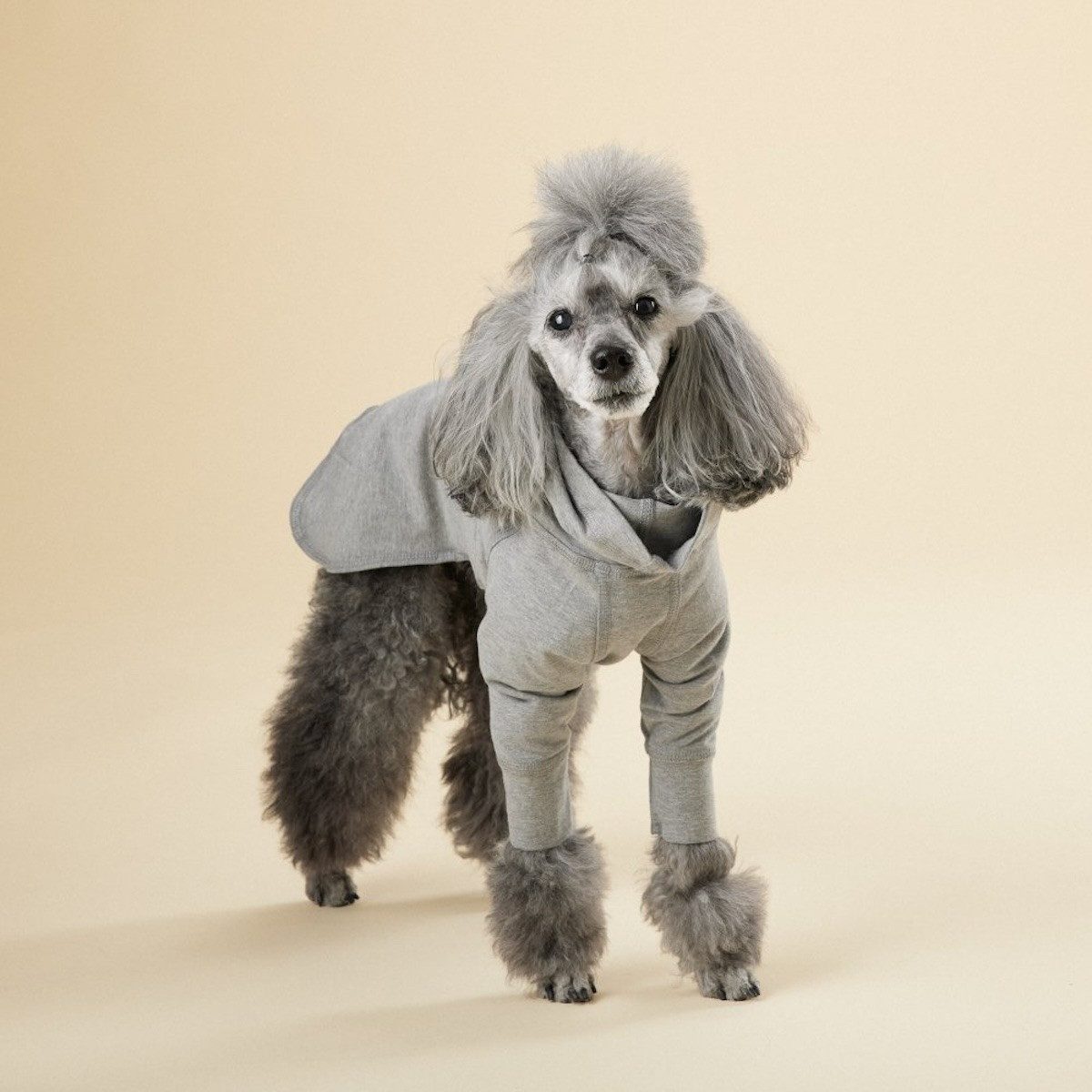 PAIKKA Hundeshirt Hunde Shirt leicht & wärmend "Recovery shirt"