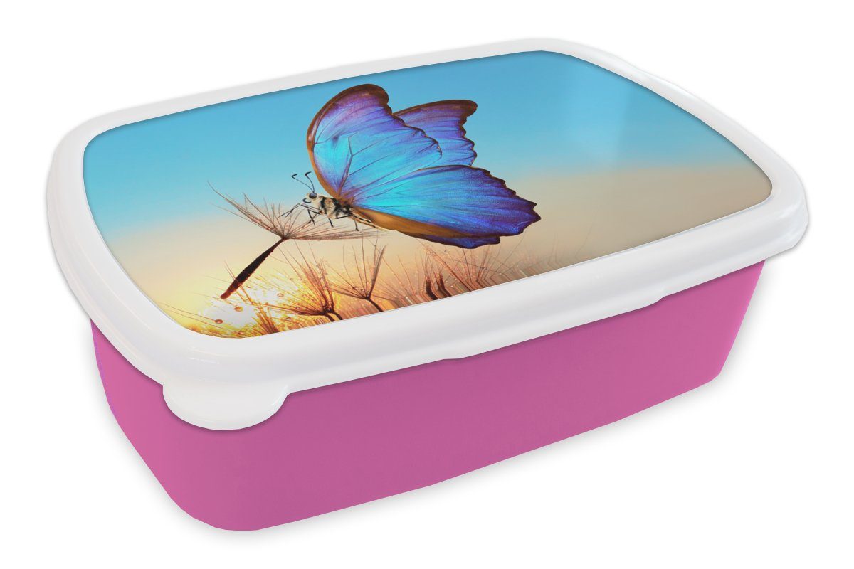 Brotbox für (2-tlg), Kunststoff, Kinder, Mädchen, Lunchbox Kunststoff Erwachsene, rosa Löwenzahn Snackbox, Schmetterling Blau, Brotdose - - MuchoWow