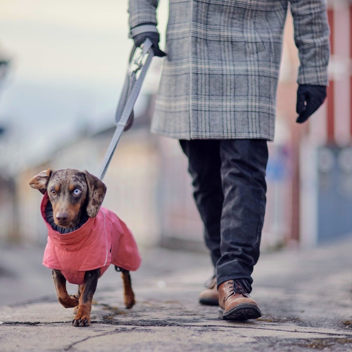 HURTTA Hundemantel Hundemantel Expedition Parka II strawberry (rot)