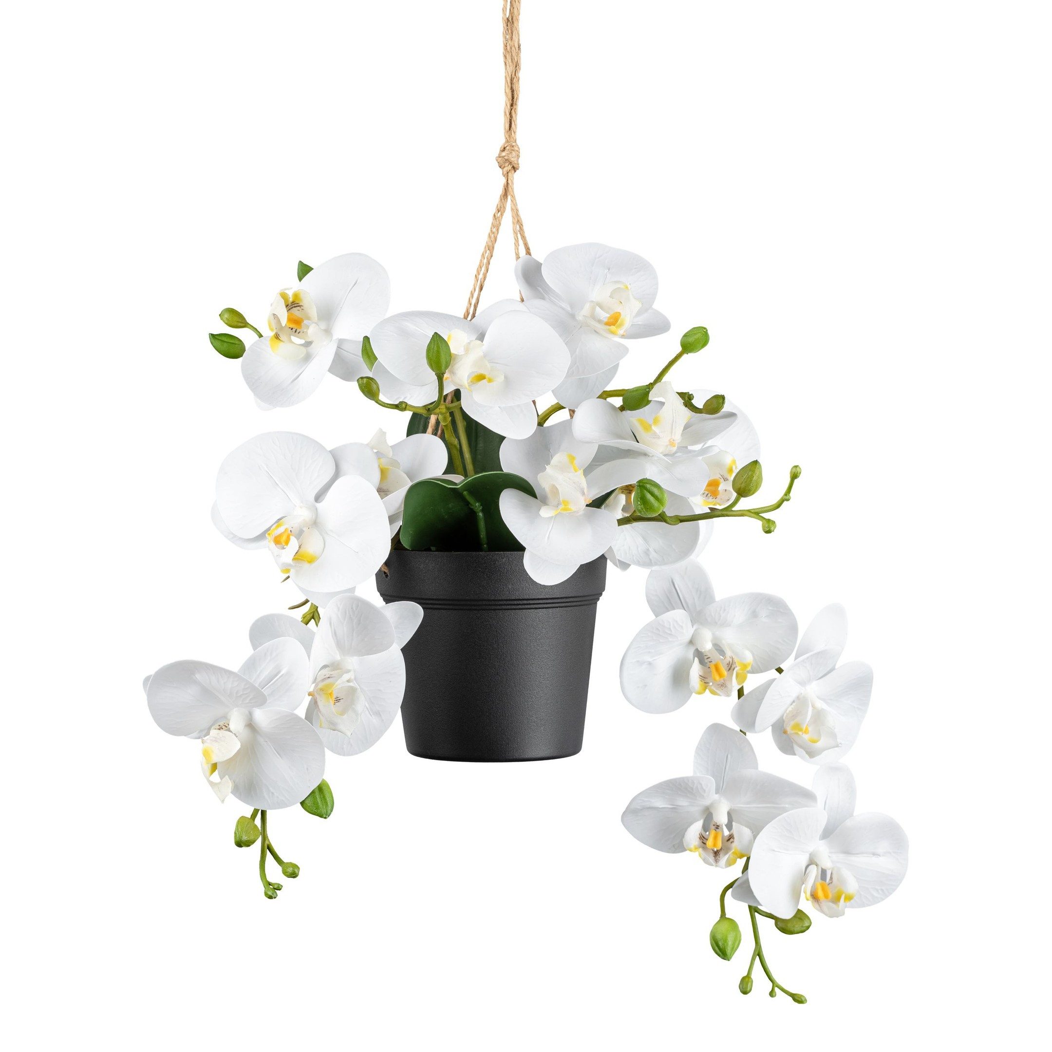Kunstpflanze Phalaenopsis im Ampeltopf, 25 cm, günstig online kaufen