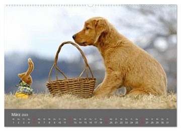 CALVENDO Wandkalender Chesley Kleiner Hund grosse Abenteuer (Premium, hochwertiger DIN A2 Wandkalender 2023, Kunstdruck in Hochglanz)