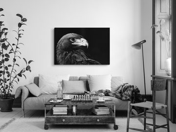 Sinus Art Leinwandbild 120x80cm Wandbild auf Leinwand Schwarz Weiß Tierfotografie Adler Raubv, (1 St)