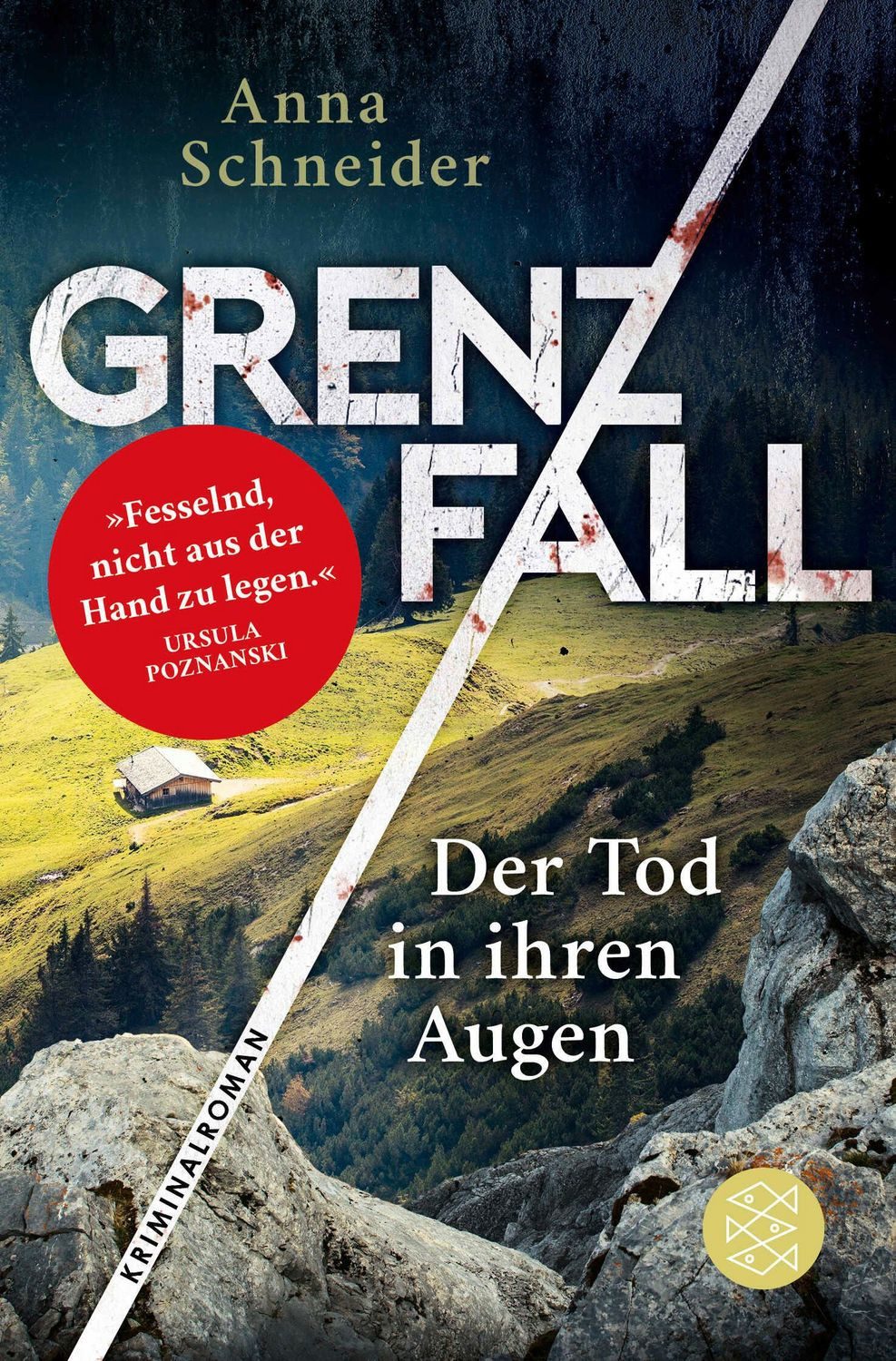 Grenzfall - Der Tod in ihren Augen Kriminalroman, Die grenzüberschrei / Anna Schneider
