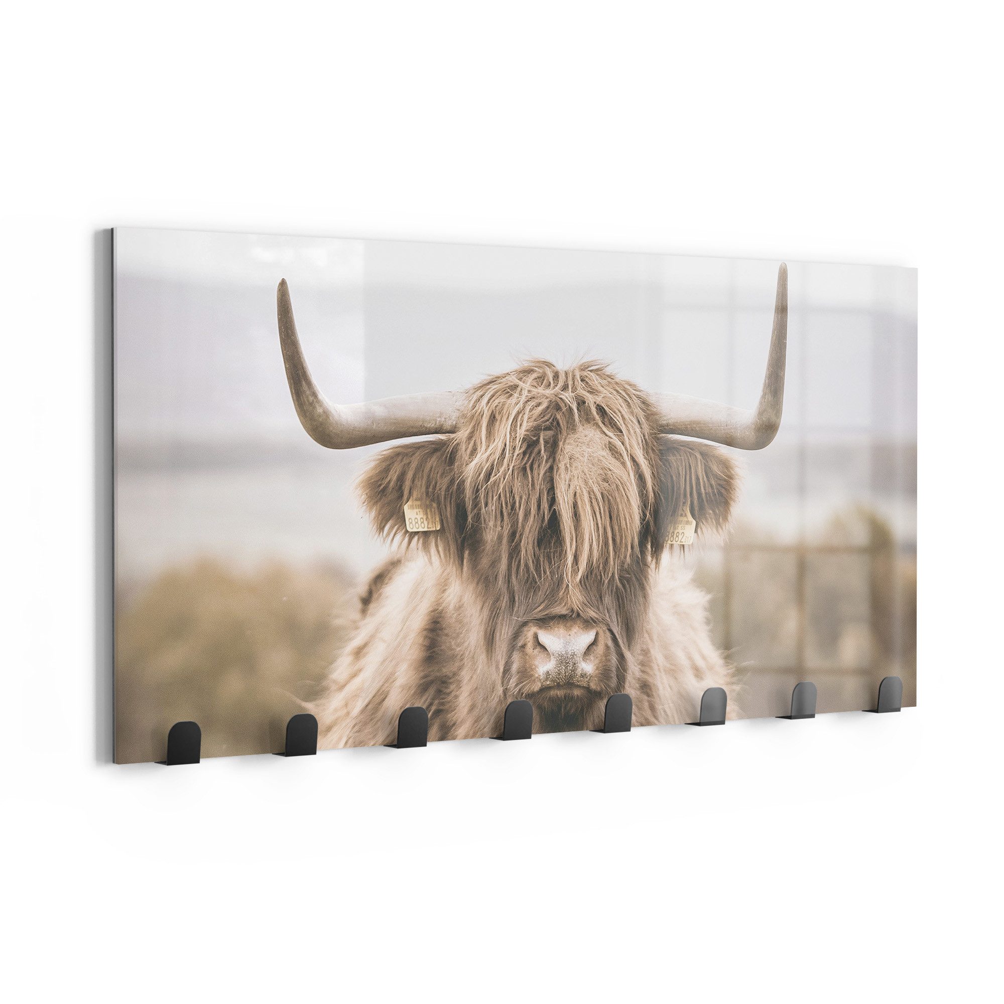 DEQORI Kleiderhaken 'Geheimnise des Hochlands', Glas Garderobe Paneel magnetisch beschreibbar