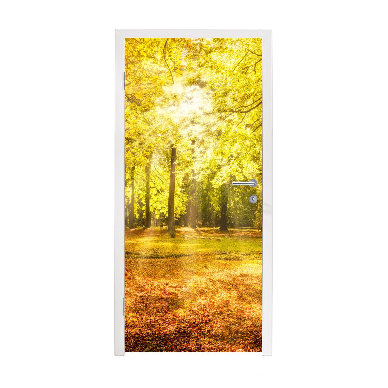 bedruckt, - Sonne - MuchoWow Wald, - - für Türtapete cm Baum Matt, Tür, Natur Türaufkleber, Fototapete Landschaft 75x205 (1 St),