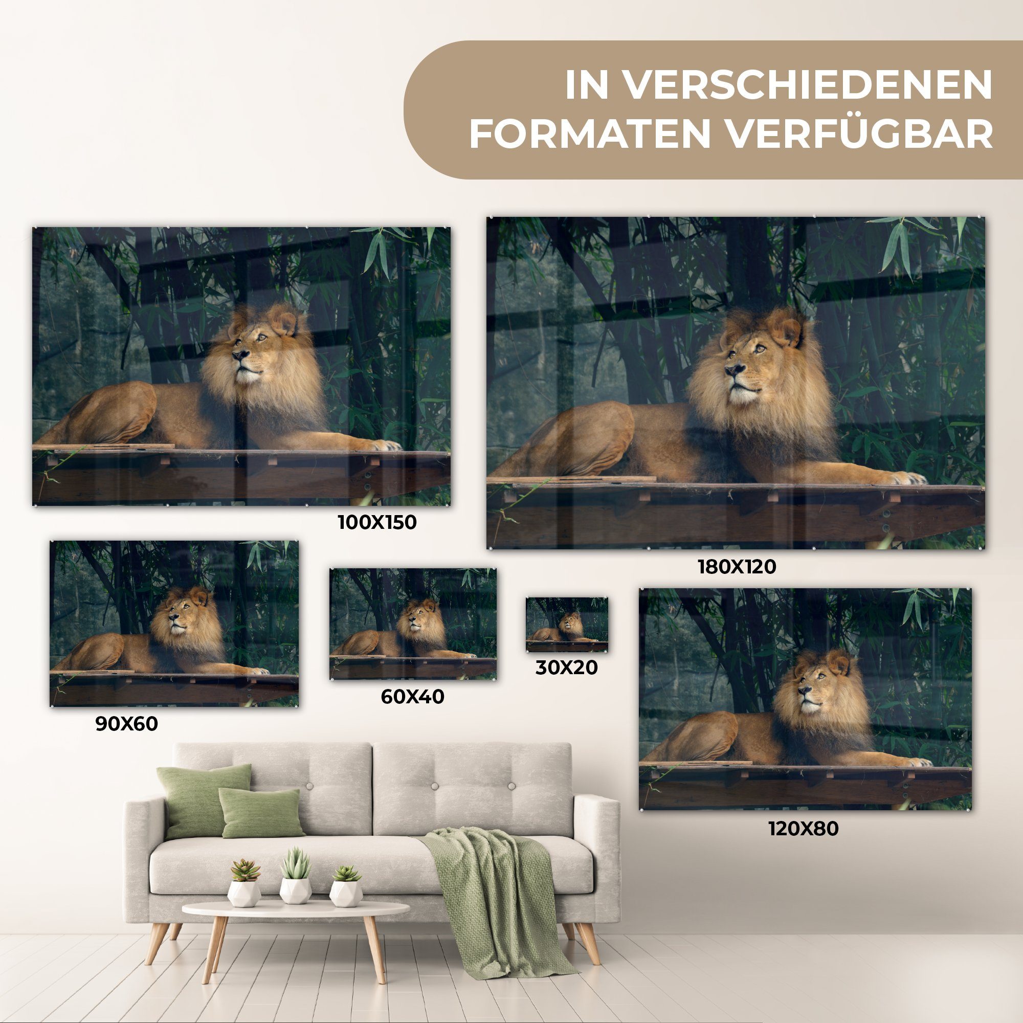 Wanddekoration Wald - auf Acrylglasbild - Foto - - Löwe Bilder Wild, (1 auf MuchoWow Glasbilder St), Glas Wandbild Glas -