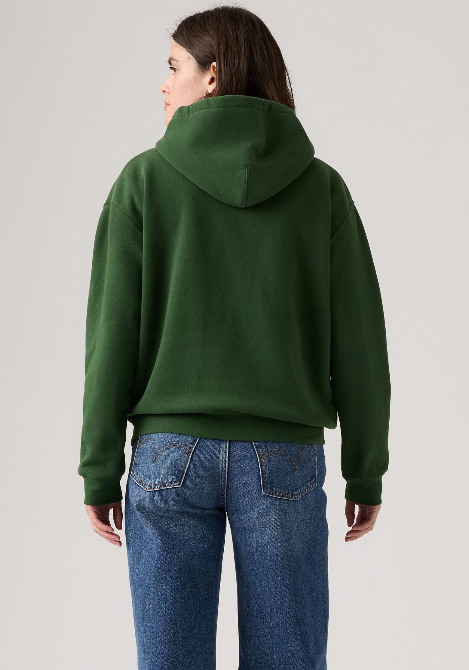 Levi's® Hoodie GRAPHIC EVERYDAY mit Kapuze