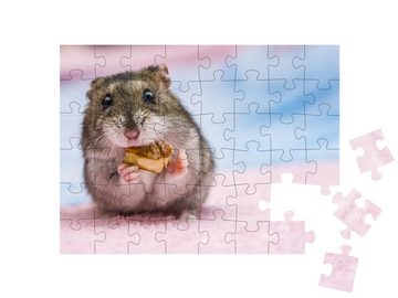 puzzleYOU Puzzle Russischer Hamster beim Knabbern, 48 Puzzleteile, puzzleYOU-Kollektionen Hamster, Bauernhof-Tiere, Insekten & Kleintiere
