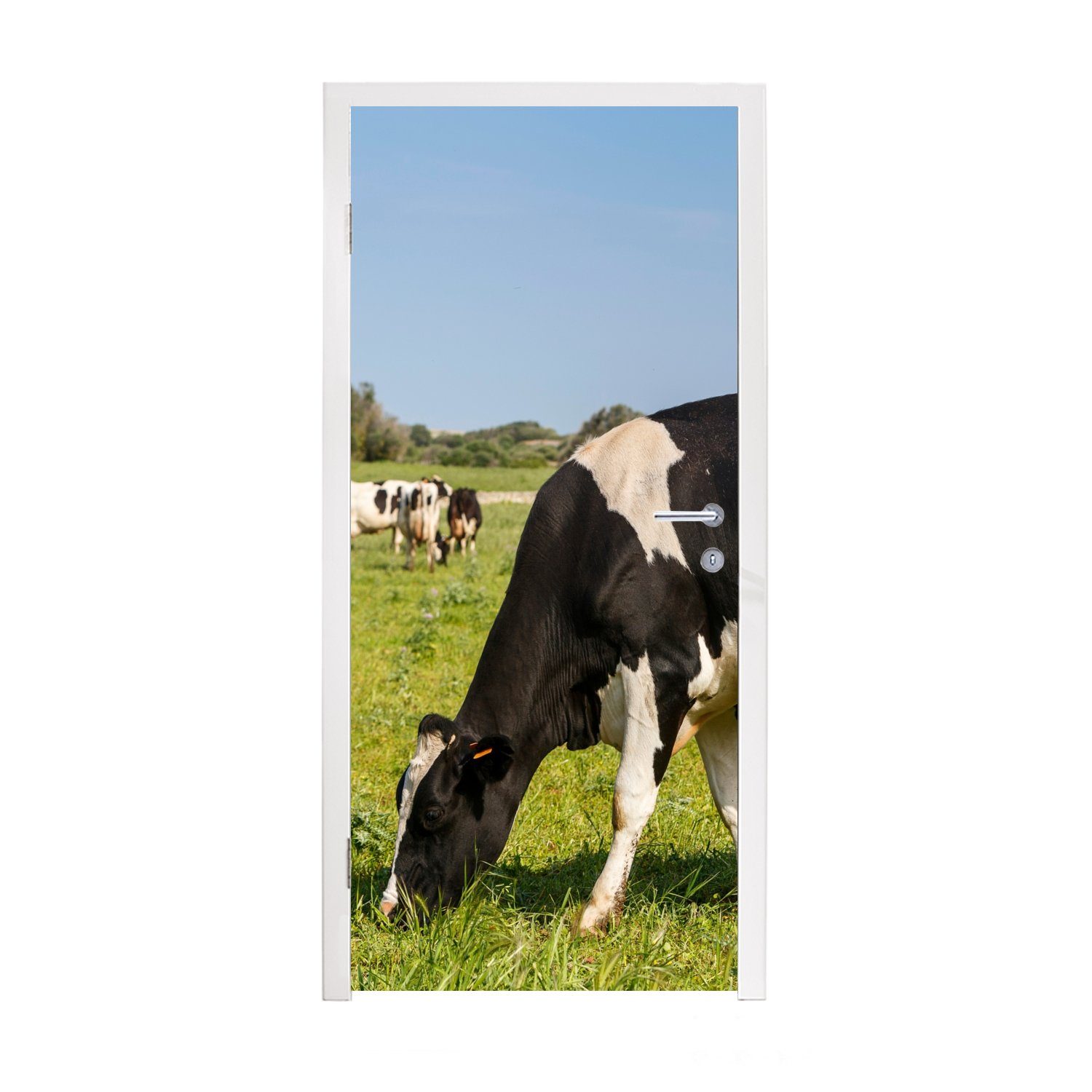 MuchoWow Türtapete Kuh - Gras - Tiere - Wald, Matt, bedruckt, (1 St), Fototapete für Tür, Türaufkleber, 75x205 cm