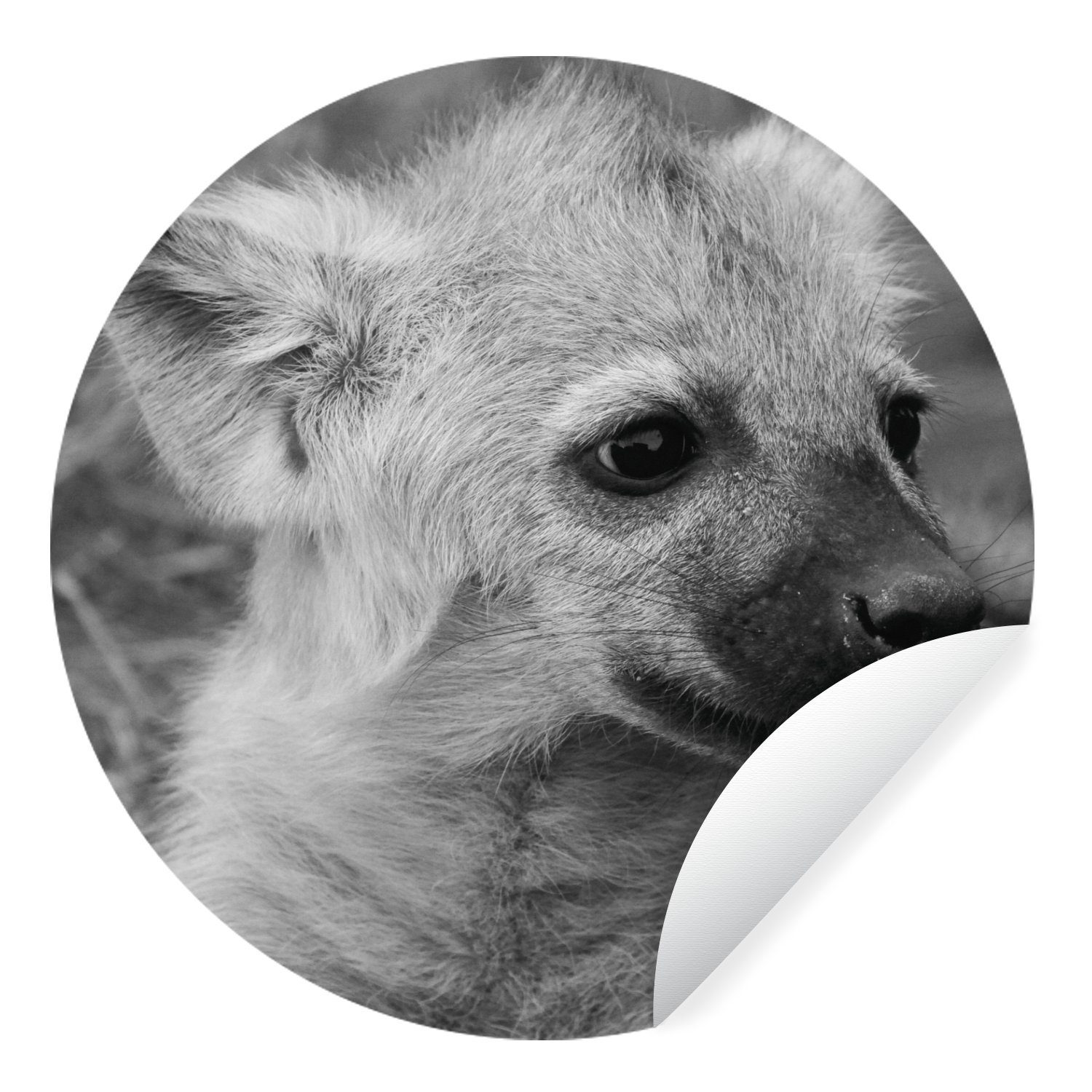MuchoWow Wandsticker Hyänenjunges in Schwarz und Weiß (1 St), Tapetenkreis für Kinderzimmer, Tapetenaufkleber, Rund, Wohnzimmer