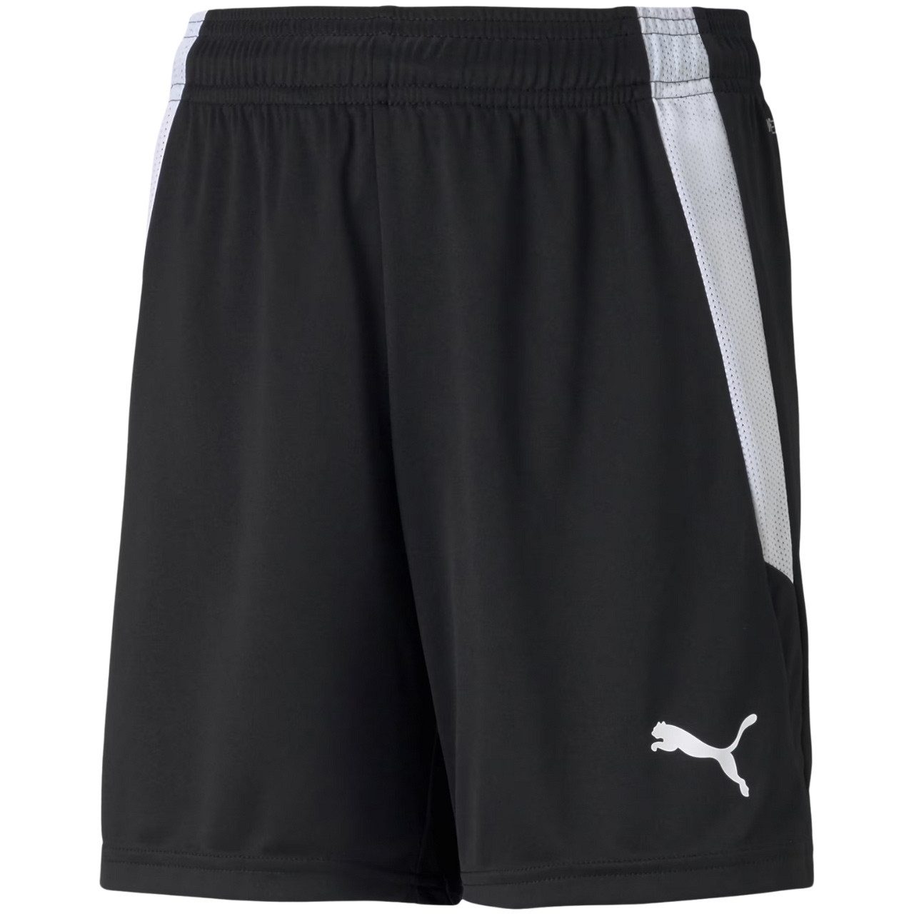 PUMA Trainingsshorts Puma teamLIGA