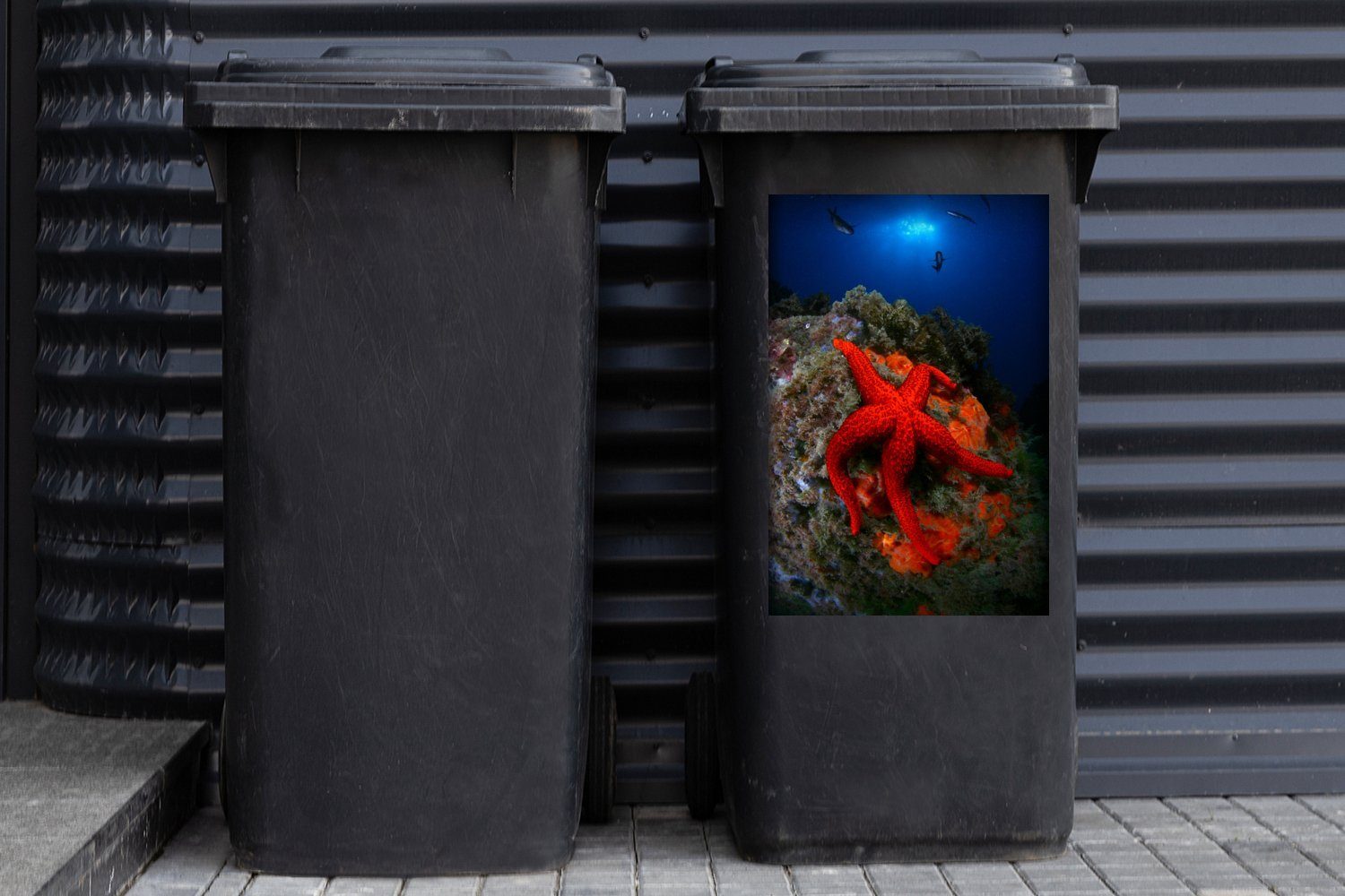(1 Wandsticker Rot MuchoWow - Koralle Sticker, Mülltonne, Mülleimer-aufkleber, Container, St), Abfalbehälter - Seestern