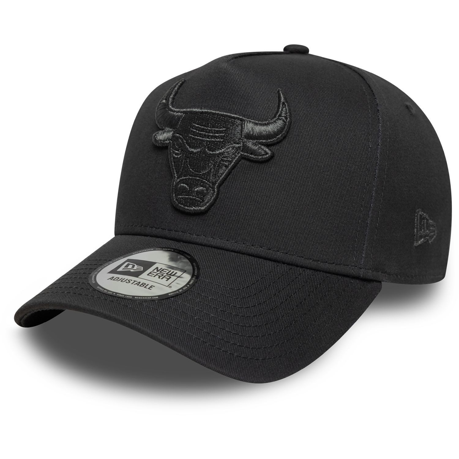 Snapback Cap EFrame Chicago Bulls