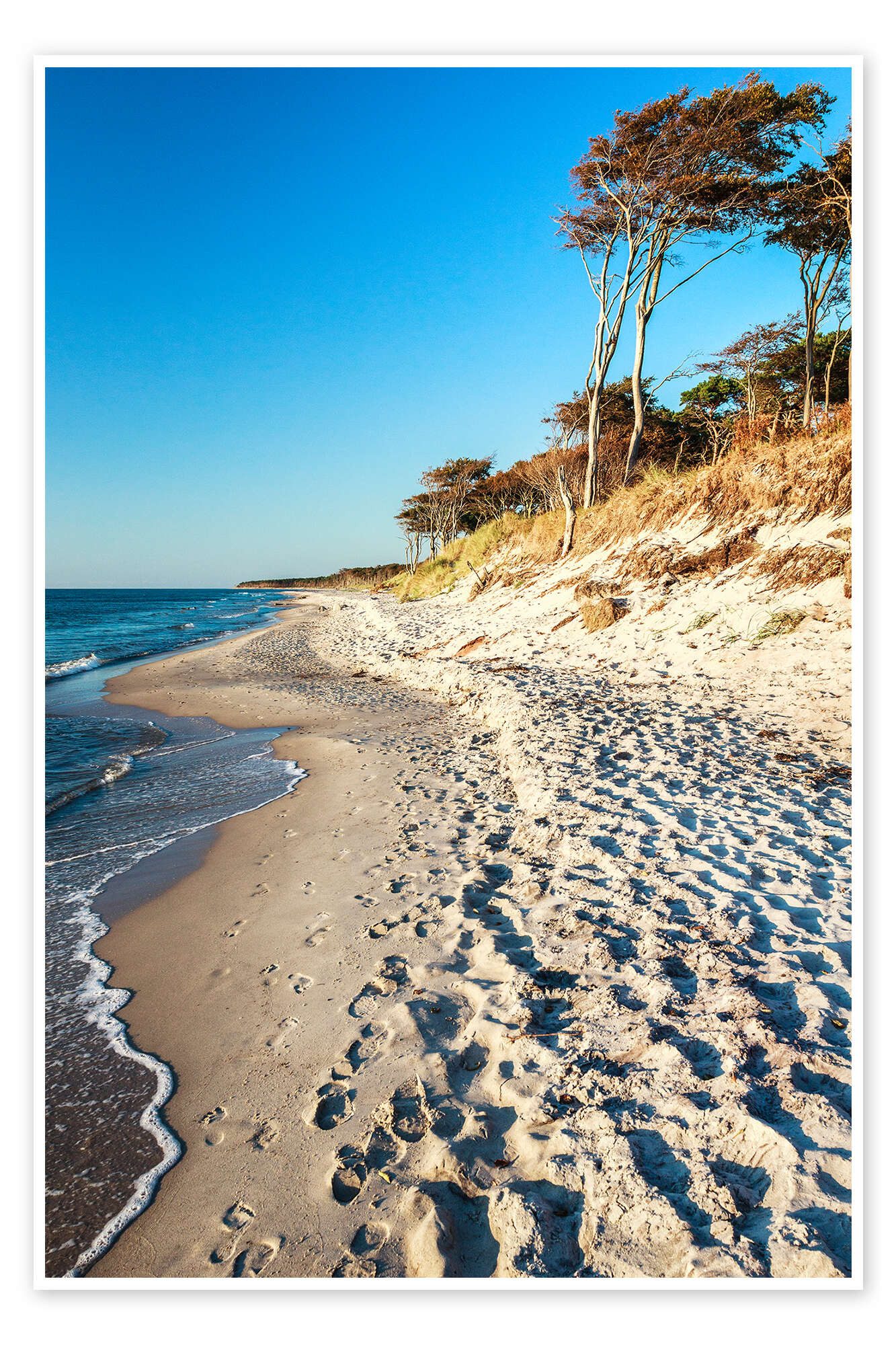 Posterlounge Wandbild Ostseestrand auf dem Darß, Sascha Kilmer, erhältlich als Poster, Leinwandbild, Wandsticker oder Acrylglasbild