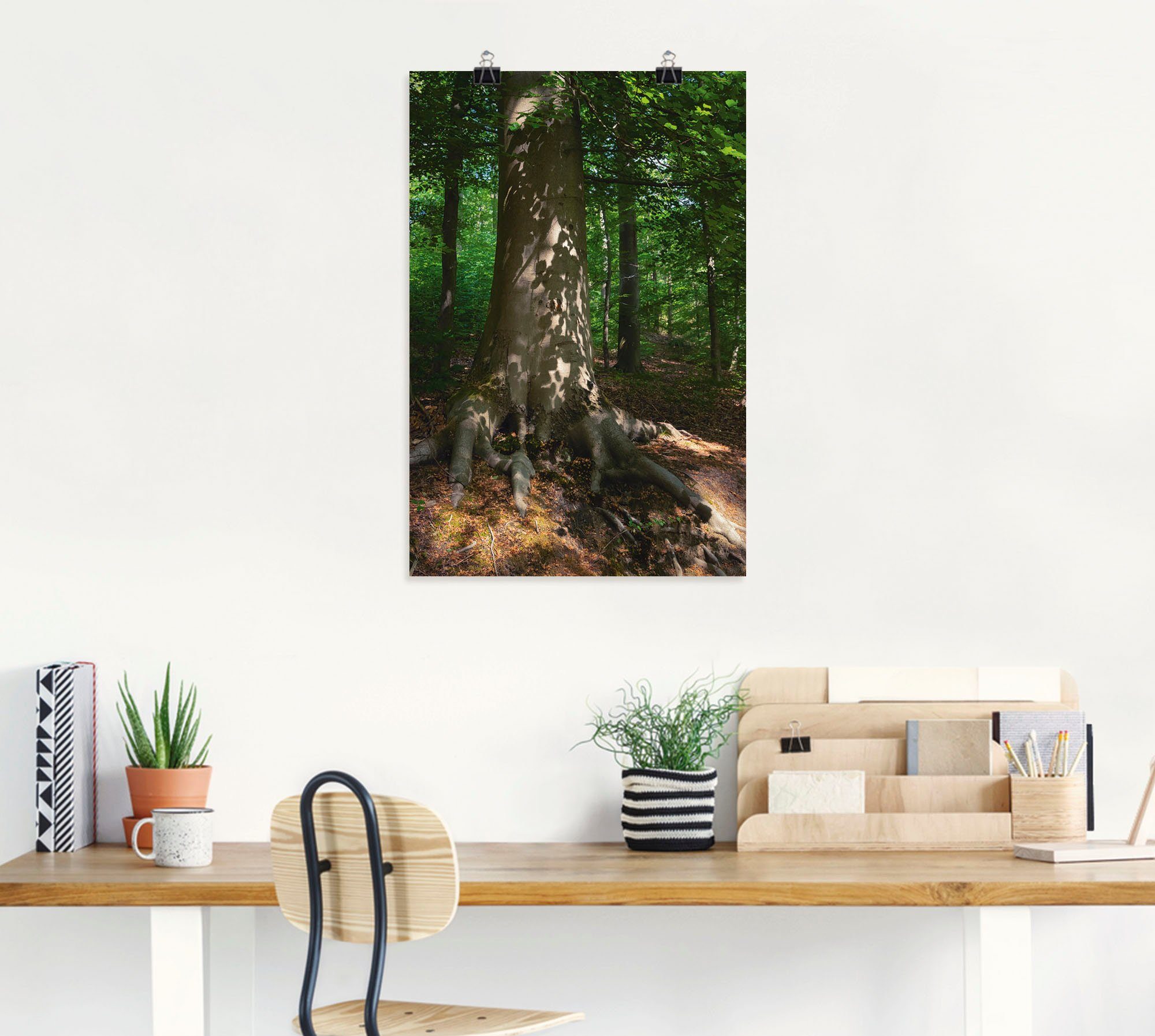 Artland Wandbild Waldimpression, Baumbilder Alubild, Poster Leinwandbild, (1 St), oder Größen in versch. Wandaufkleber als