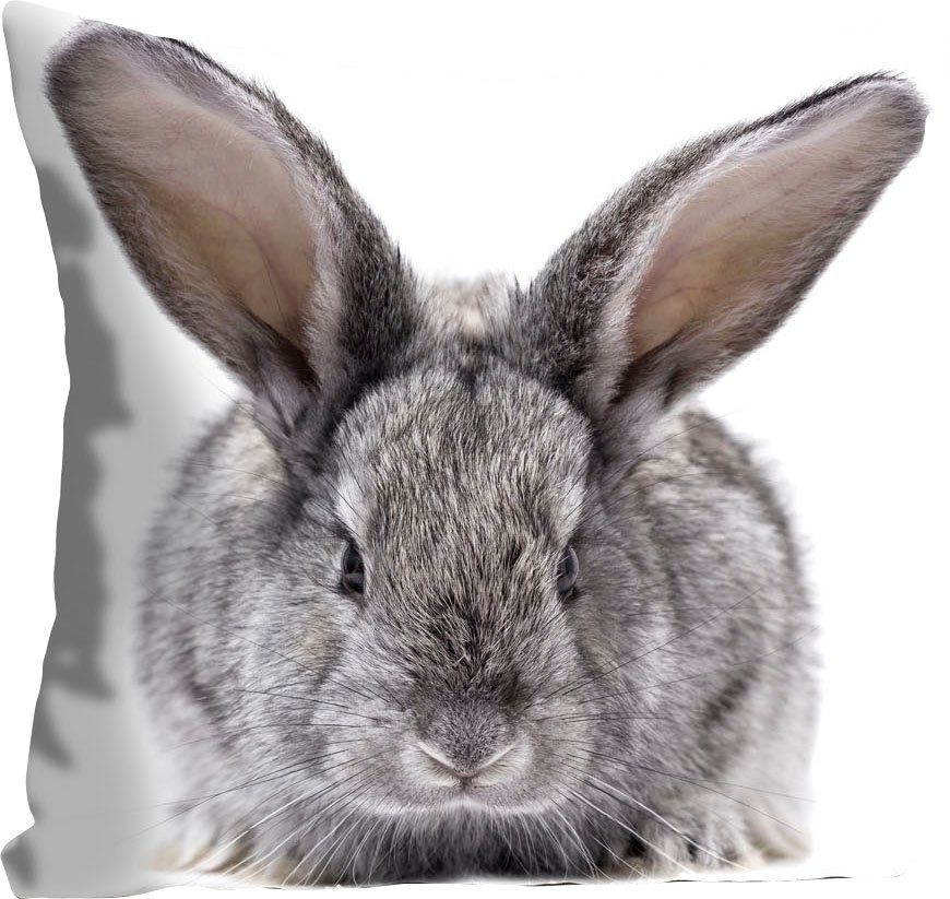 queence Dekokissen Sixten, mit einem flauschigen Hasen