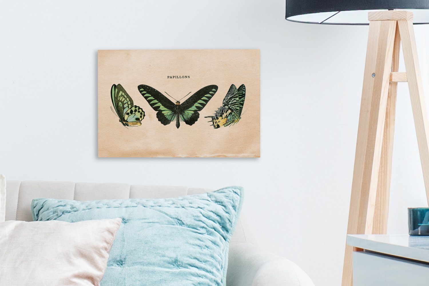OneMillionCanvasses® Leinwandbild Schmetterling Wandbild (1 St), - Leinwandbilder, Tier Insekt, Aufhängefertig, 30x20 cm - Wanddeko