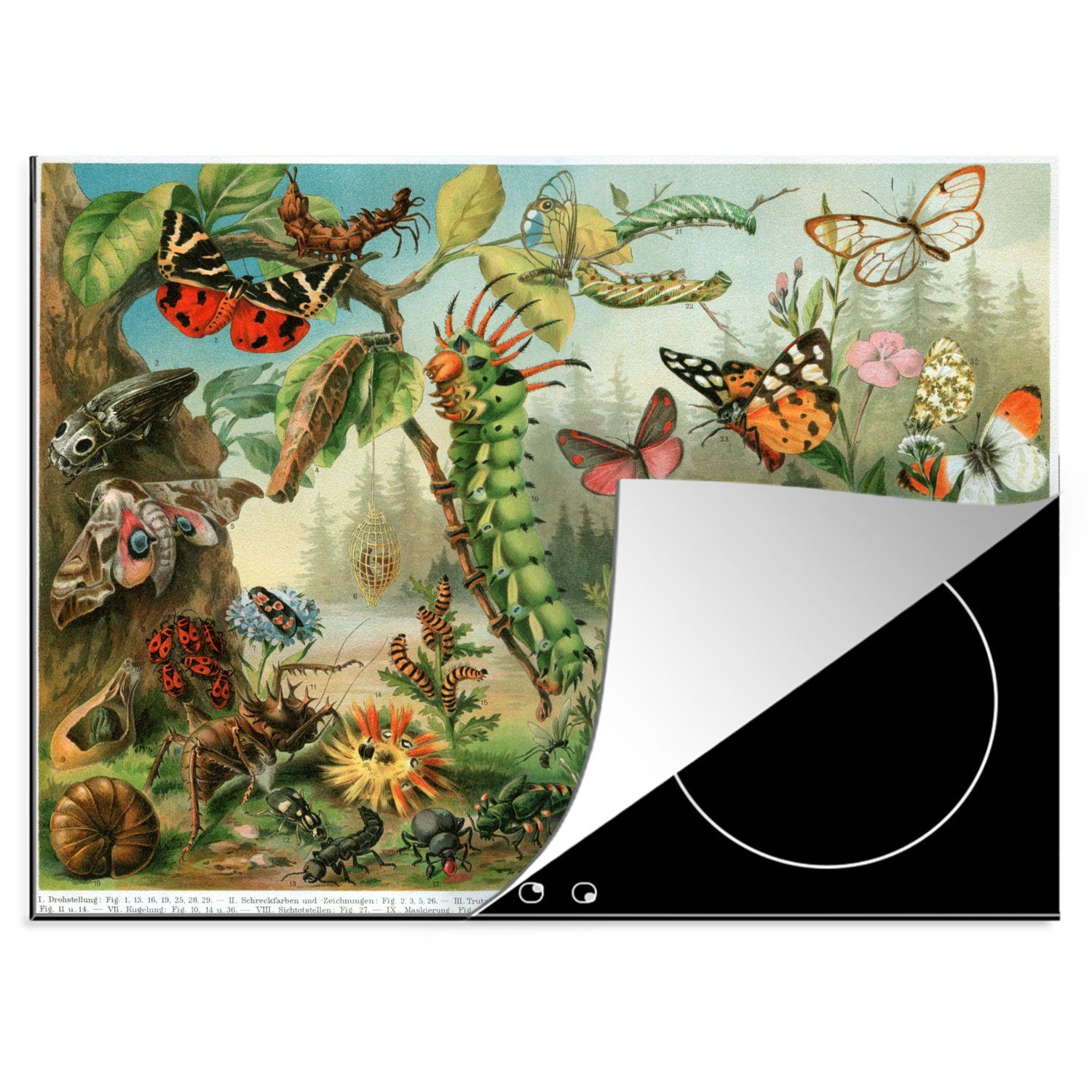 MuchoWow Herdblende-/Abdeckplatte Insekten - Illustration - Natur, Vinyl, (1 tlg), 70x52 cm, Mobile Arbeitsfläche nutzbar, Ceranfeldabdeckung