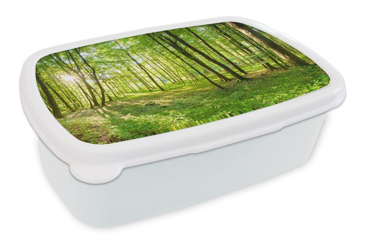 MuchoWow Lunchbox Natur - Bäume - Wald - Grün - Sonnenlicht, Kunststoff, (2-tlg), Brotbox für Kinder und Erwachsene, Brotdose, für Jungs und Mädchen weiß