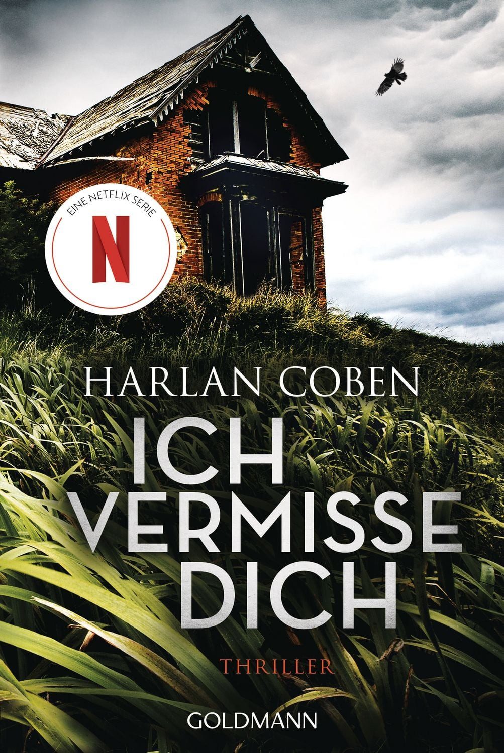 Ich vermisse dich / Harlan Coben